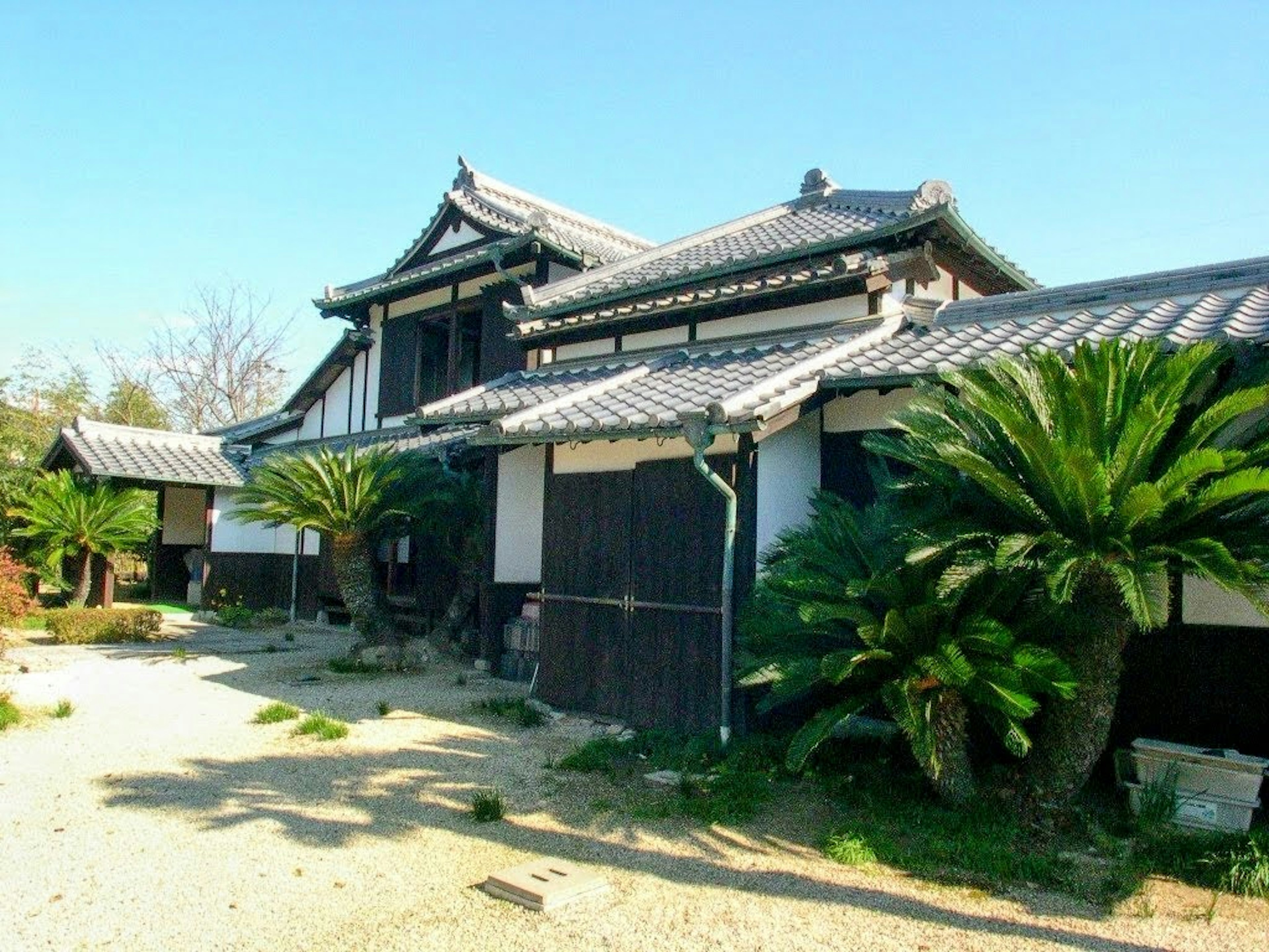 Rumah tradisional Jepang dengan pohon palem dan langit biru cerah