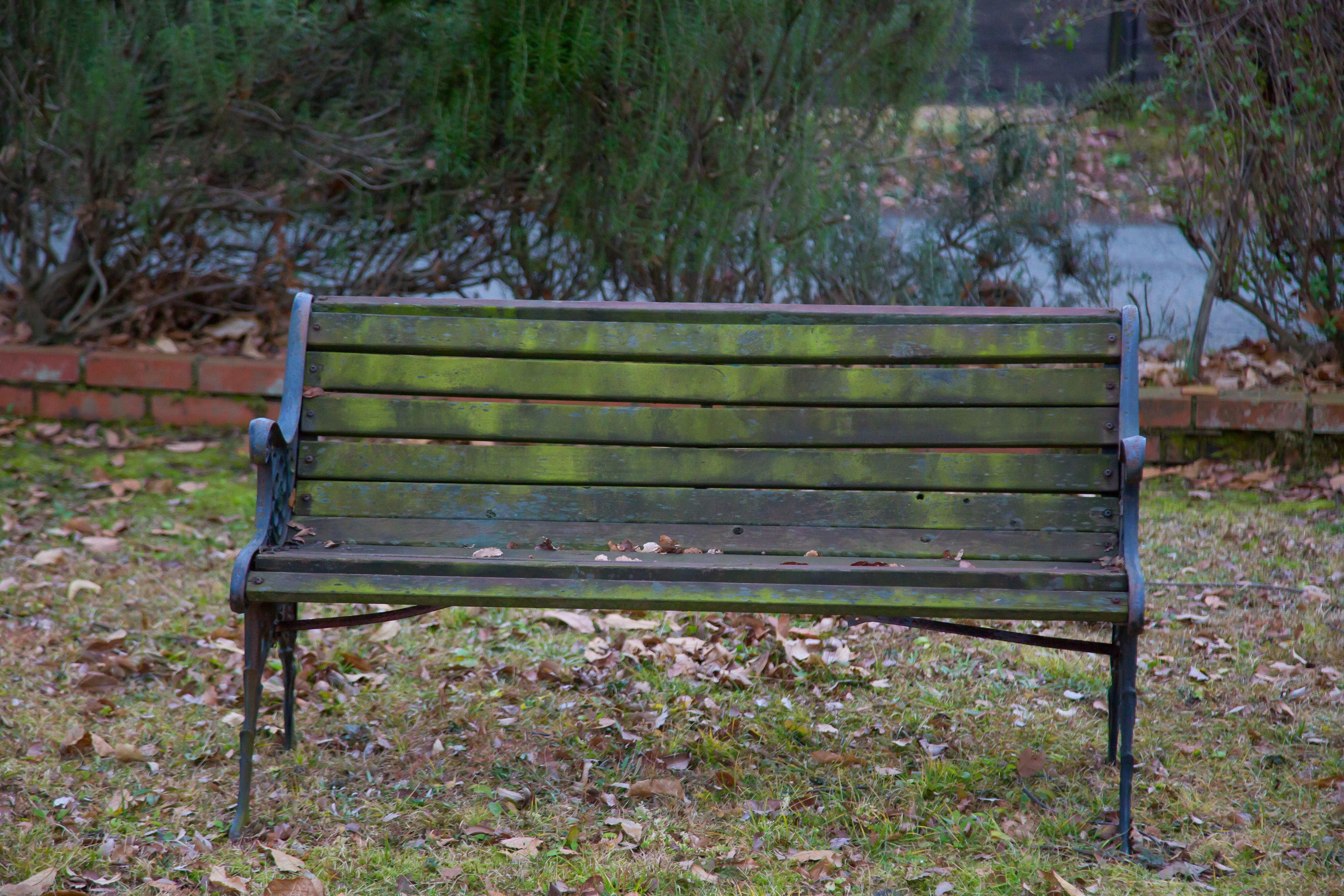 Banc en métal ancien placé sur l'herbe avec des lattes en bois pour le dossier