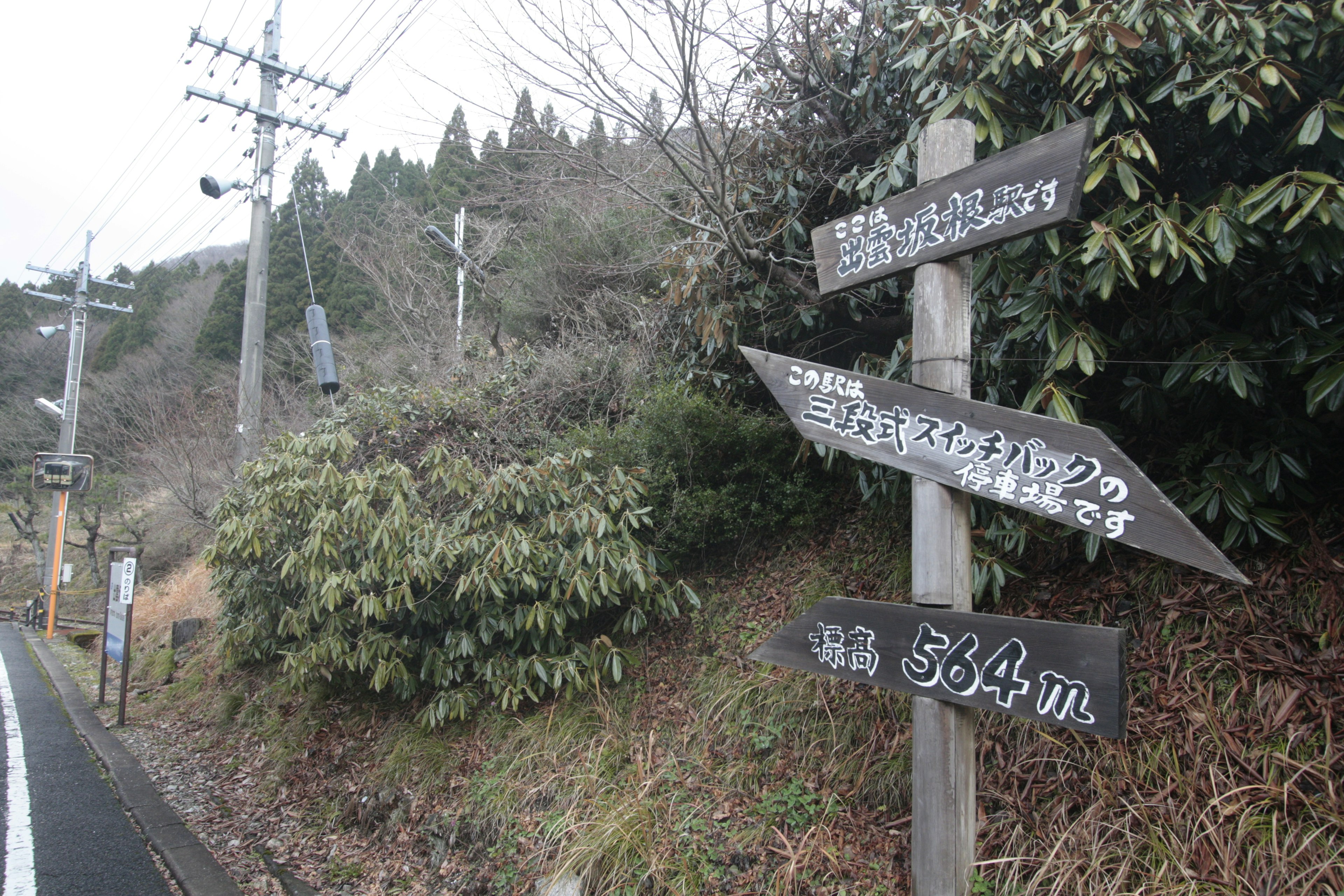 山道の標識が立っている風景 標識には方向や距離が書かれている