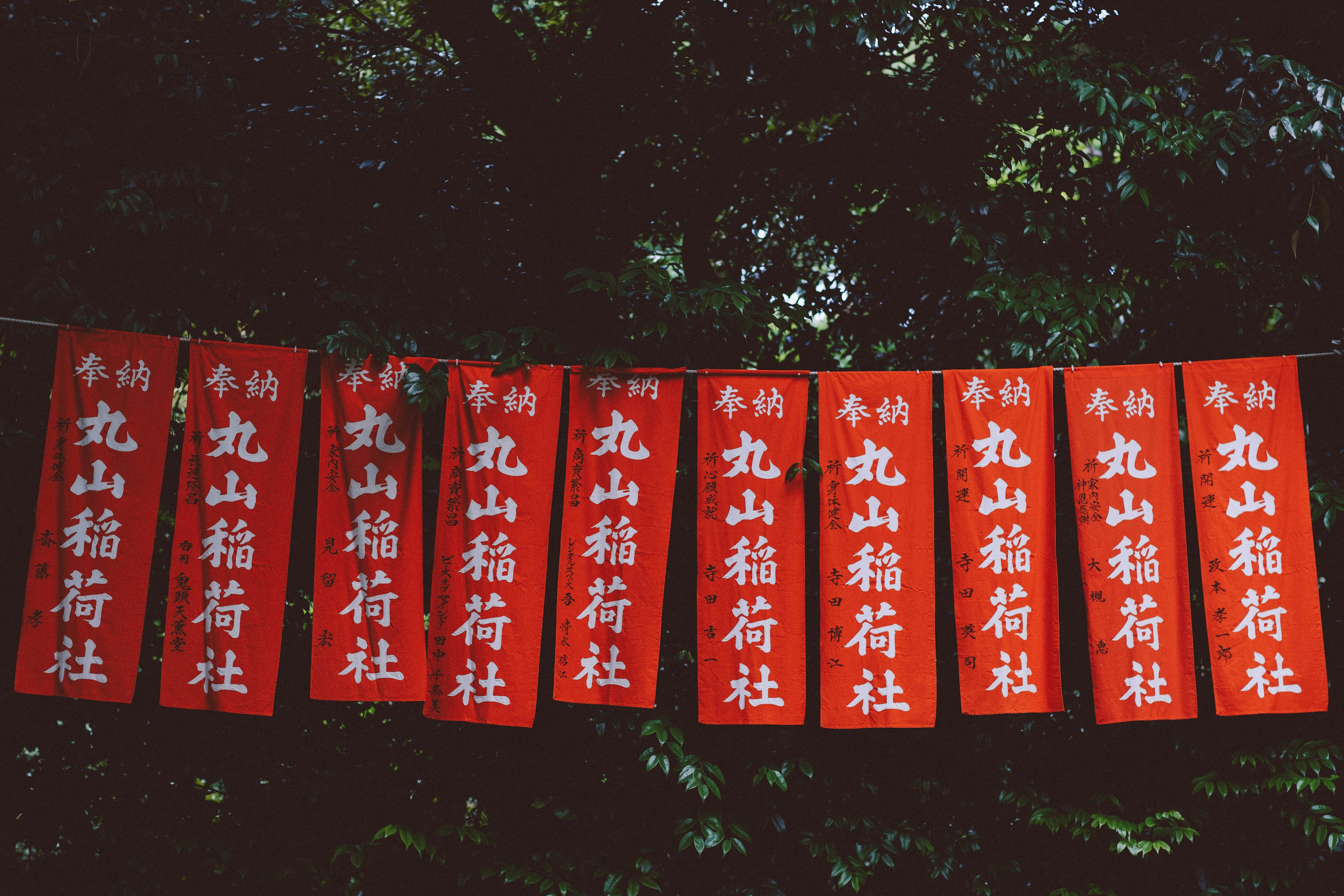 Red banners with Japanese text hanging in a green forest background