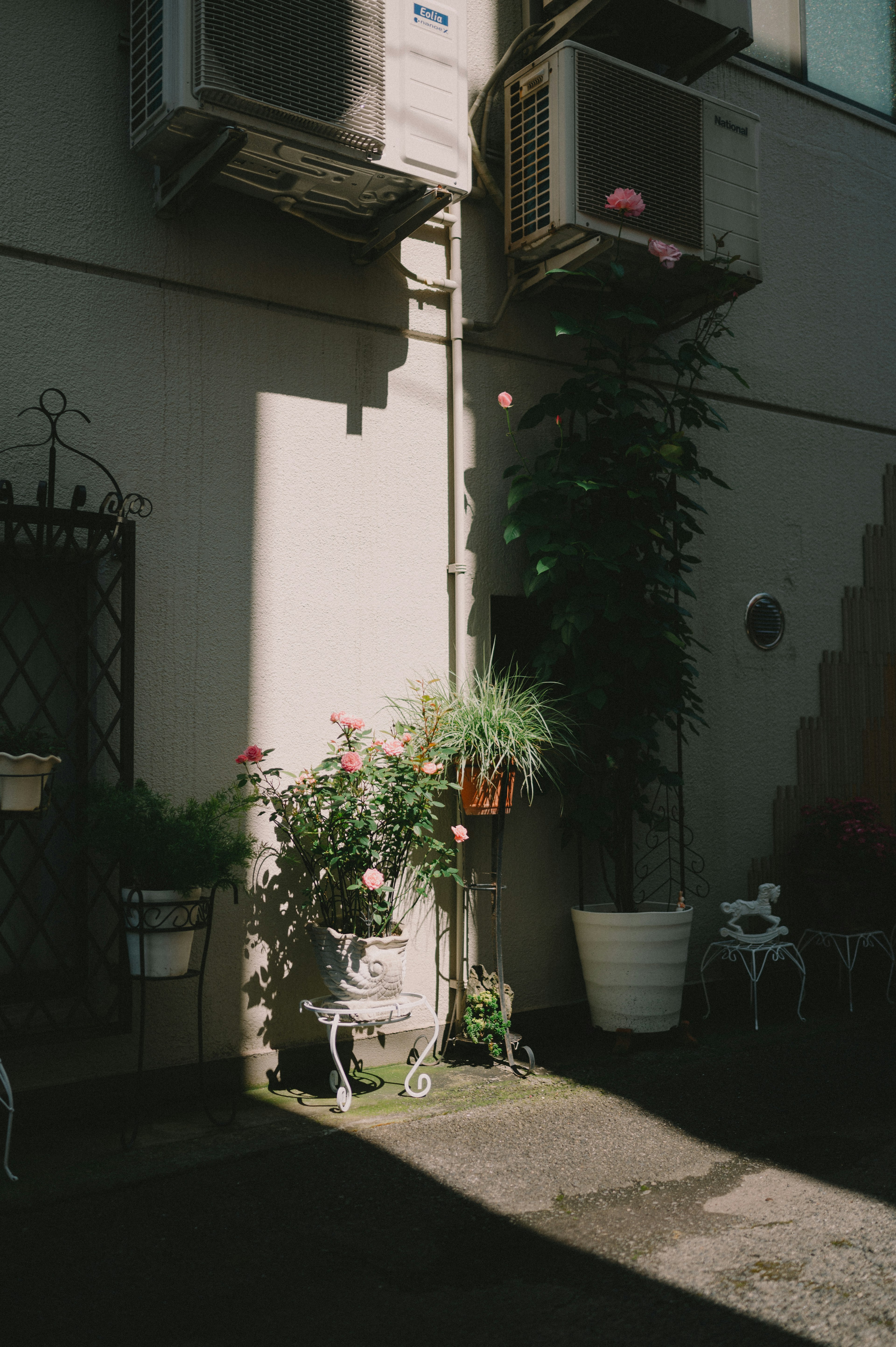 Eine kleine Gartenszene mit Pflanzen und Blumen im Schatten