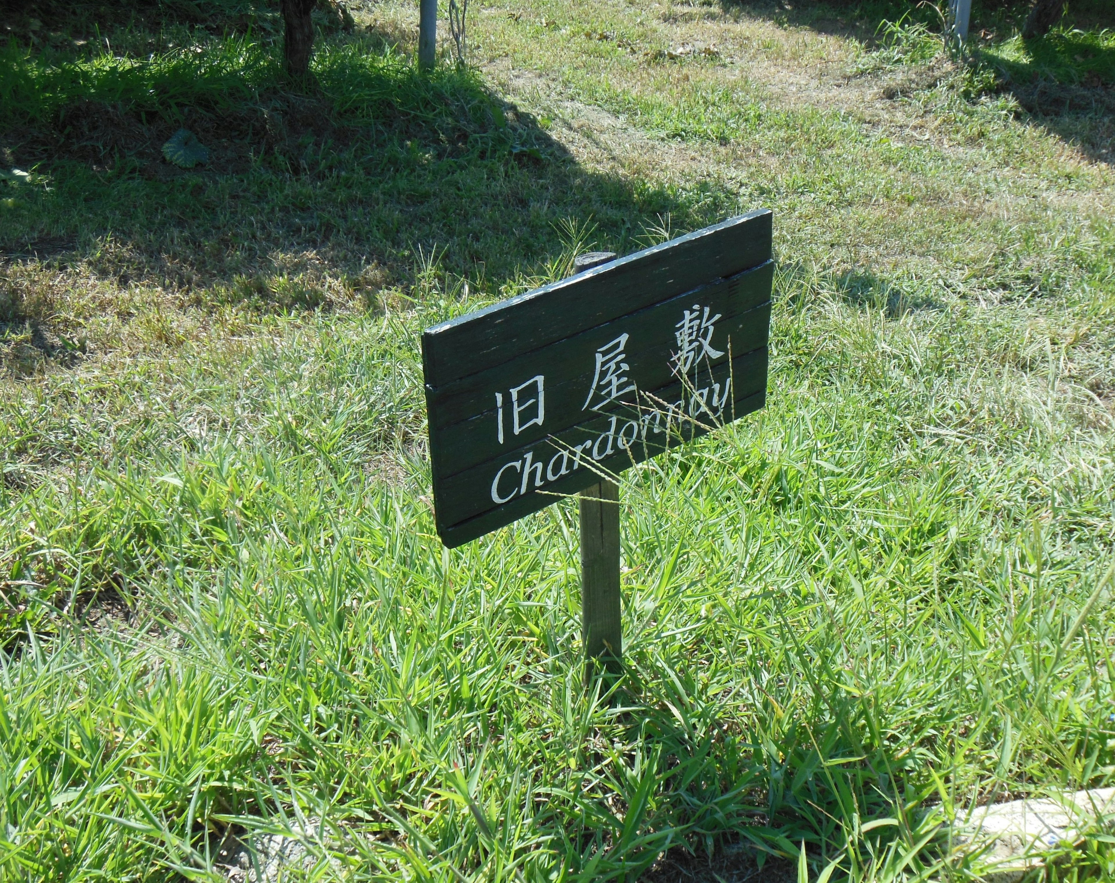 Papan hitam dengan huruf putih yang bertuliskan 'Pemandangan Lama' dikelilingi oleh rumput