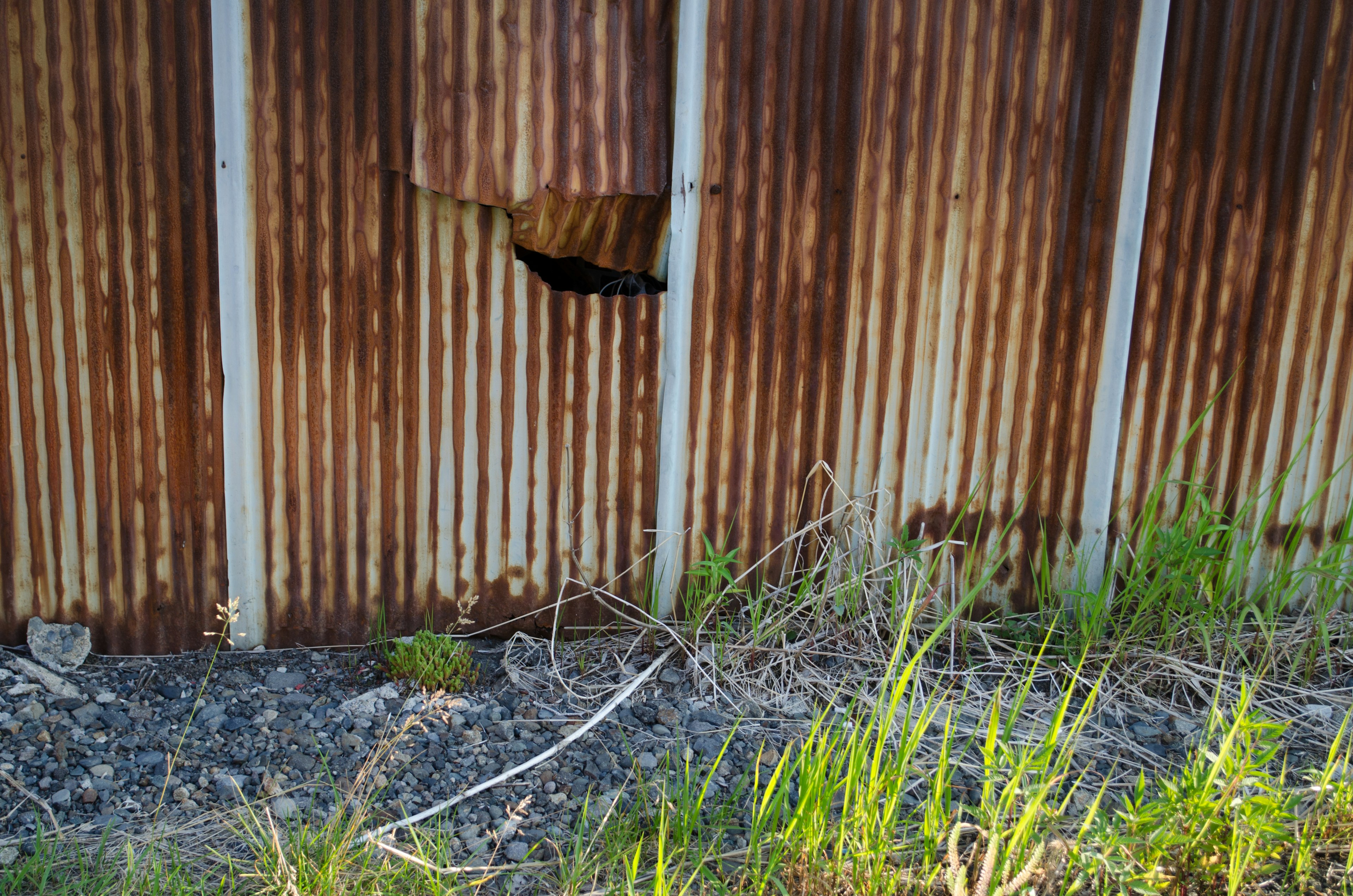 Rusty metal fence with a hole and surrounding grass