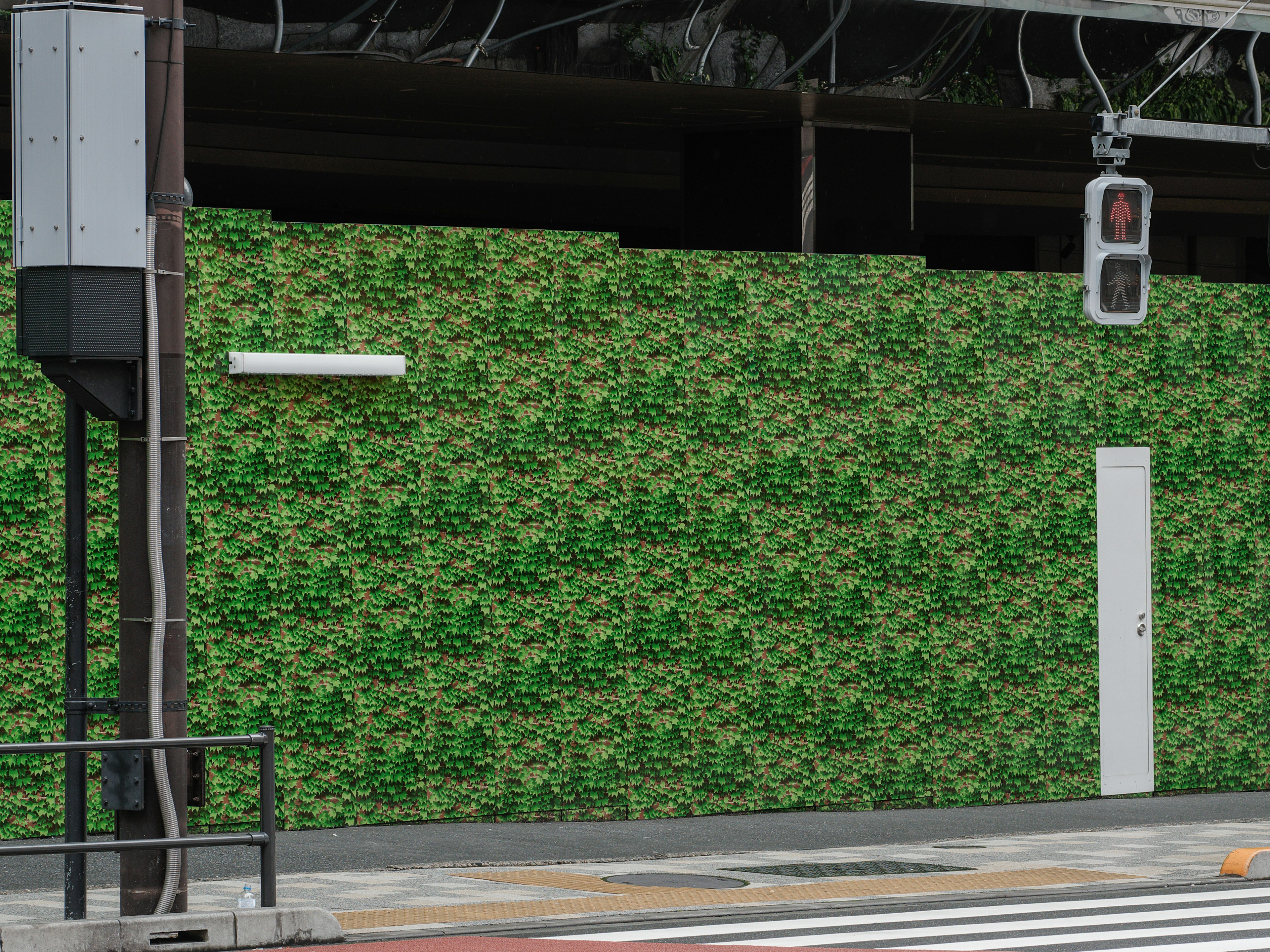 A green leaf-patterned wall with a white door