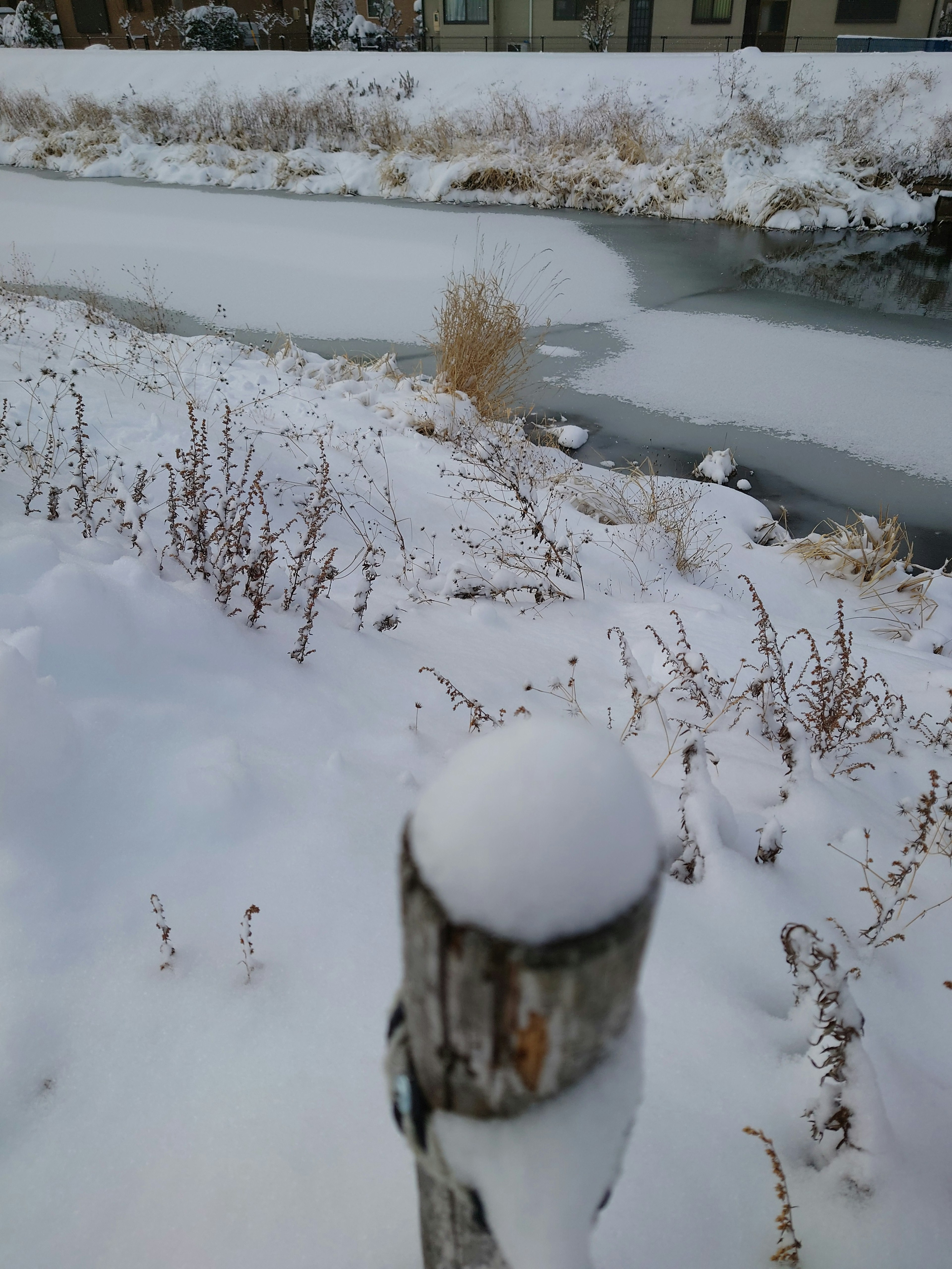 Paysage enneigé avec un poteau en bois près d'une rivière gelée