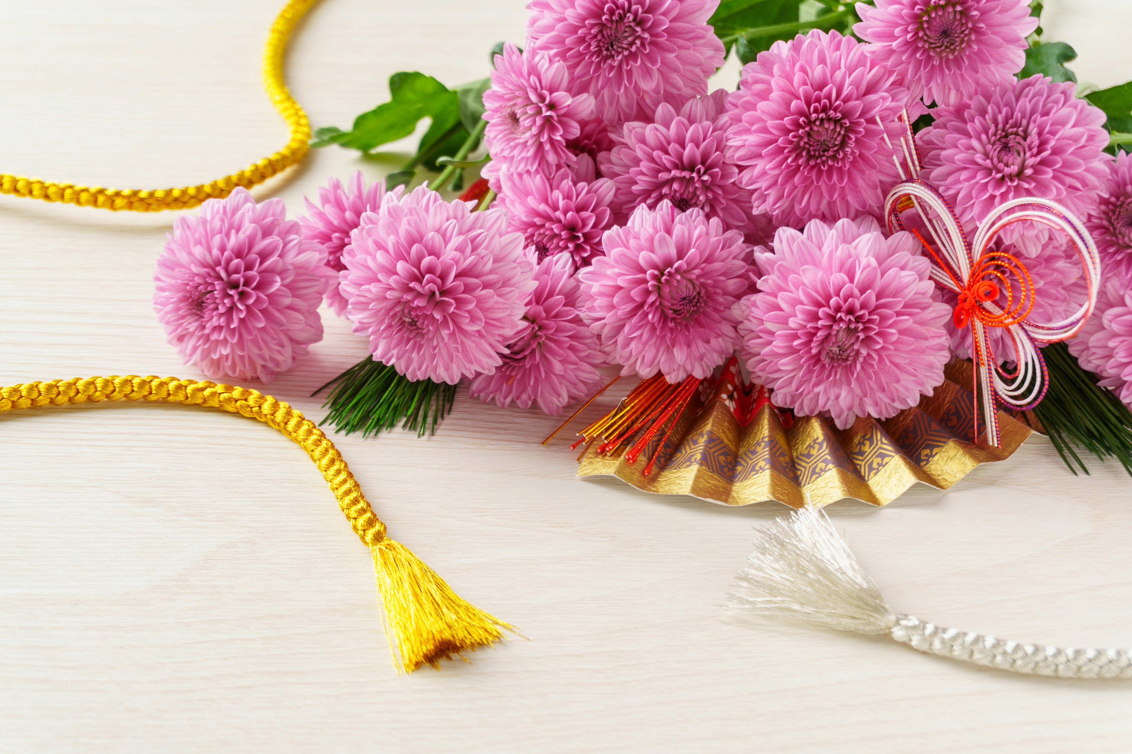 Schöne Anordnung von rosa Chrysanthemen und einem dekorativen Fächer