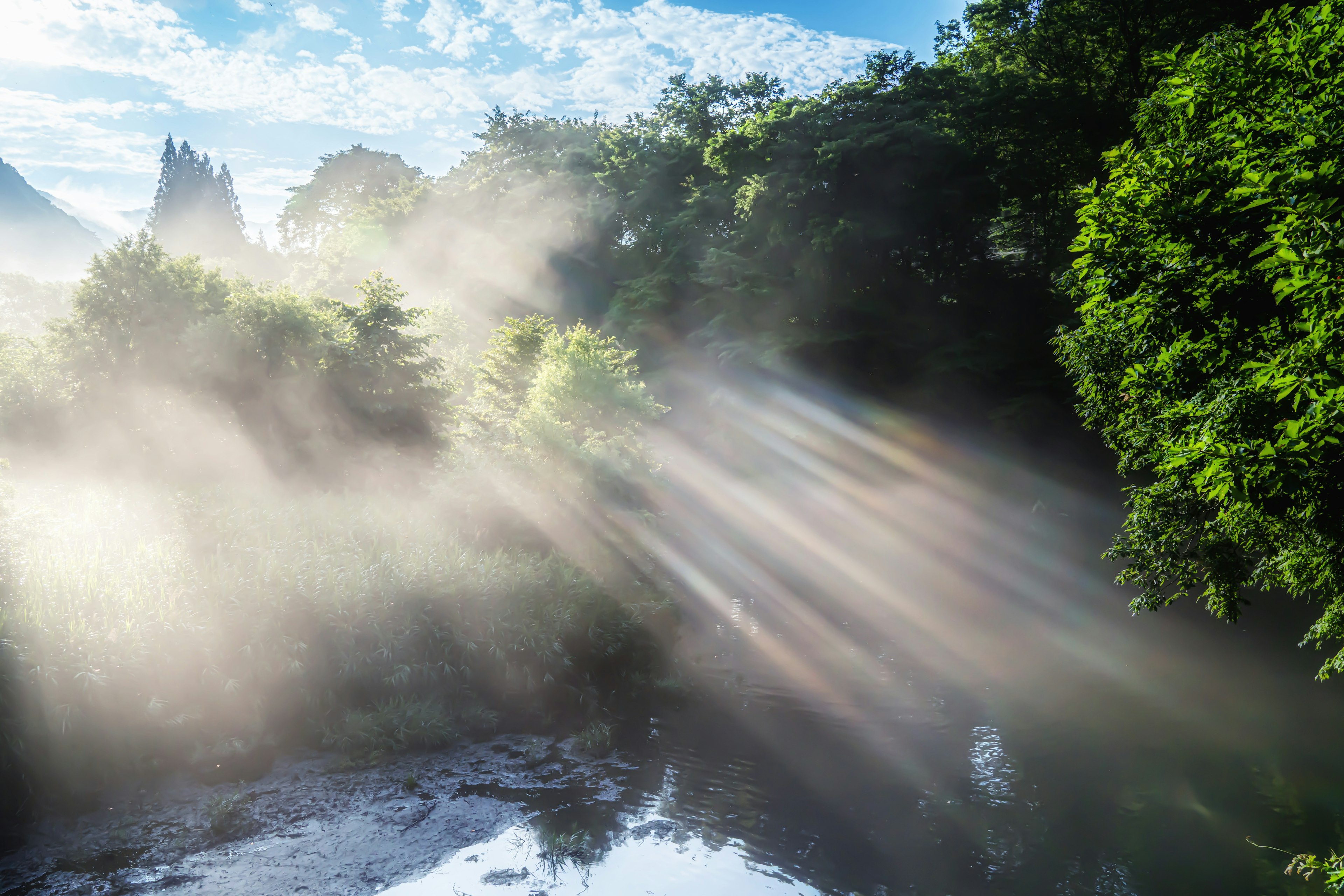 霧の中の川と木々に光が差し込む美しい風景