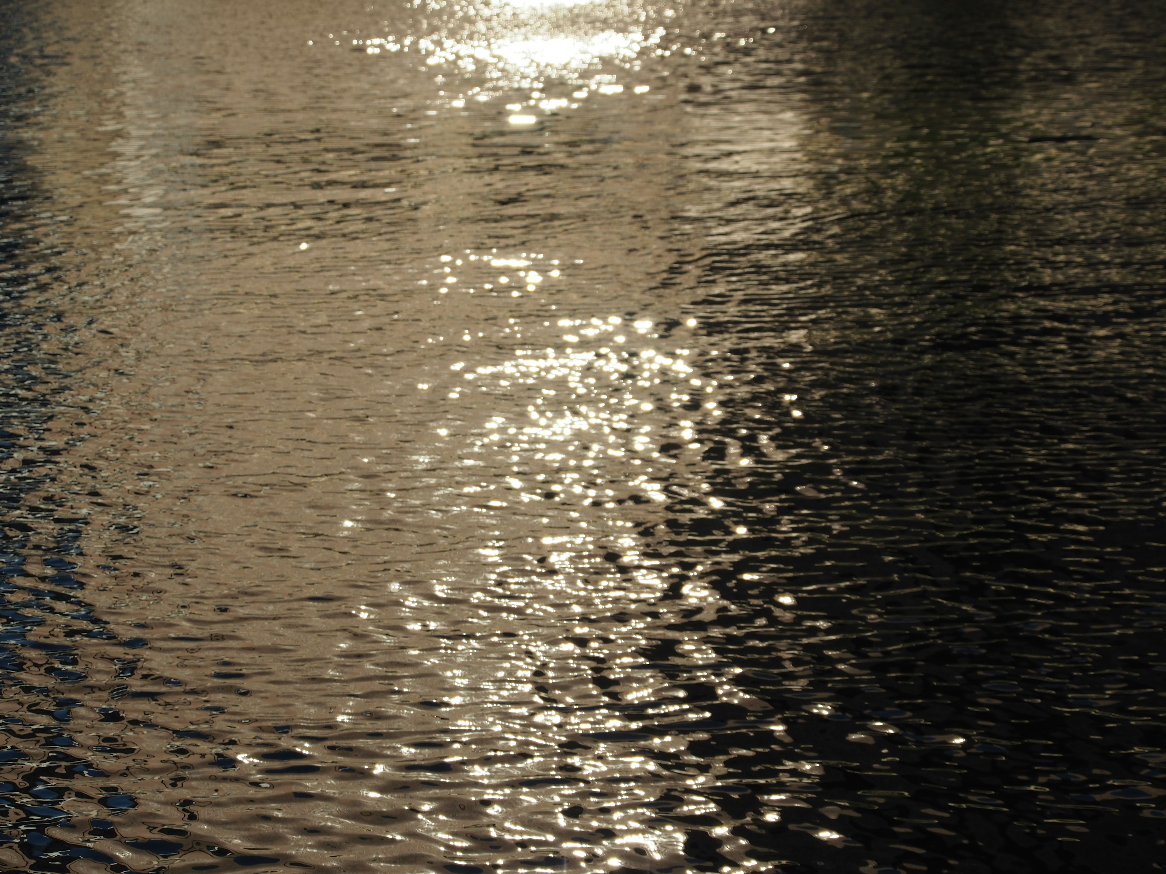 Reflection of light on the water surface with ripples