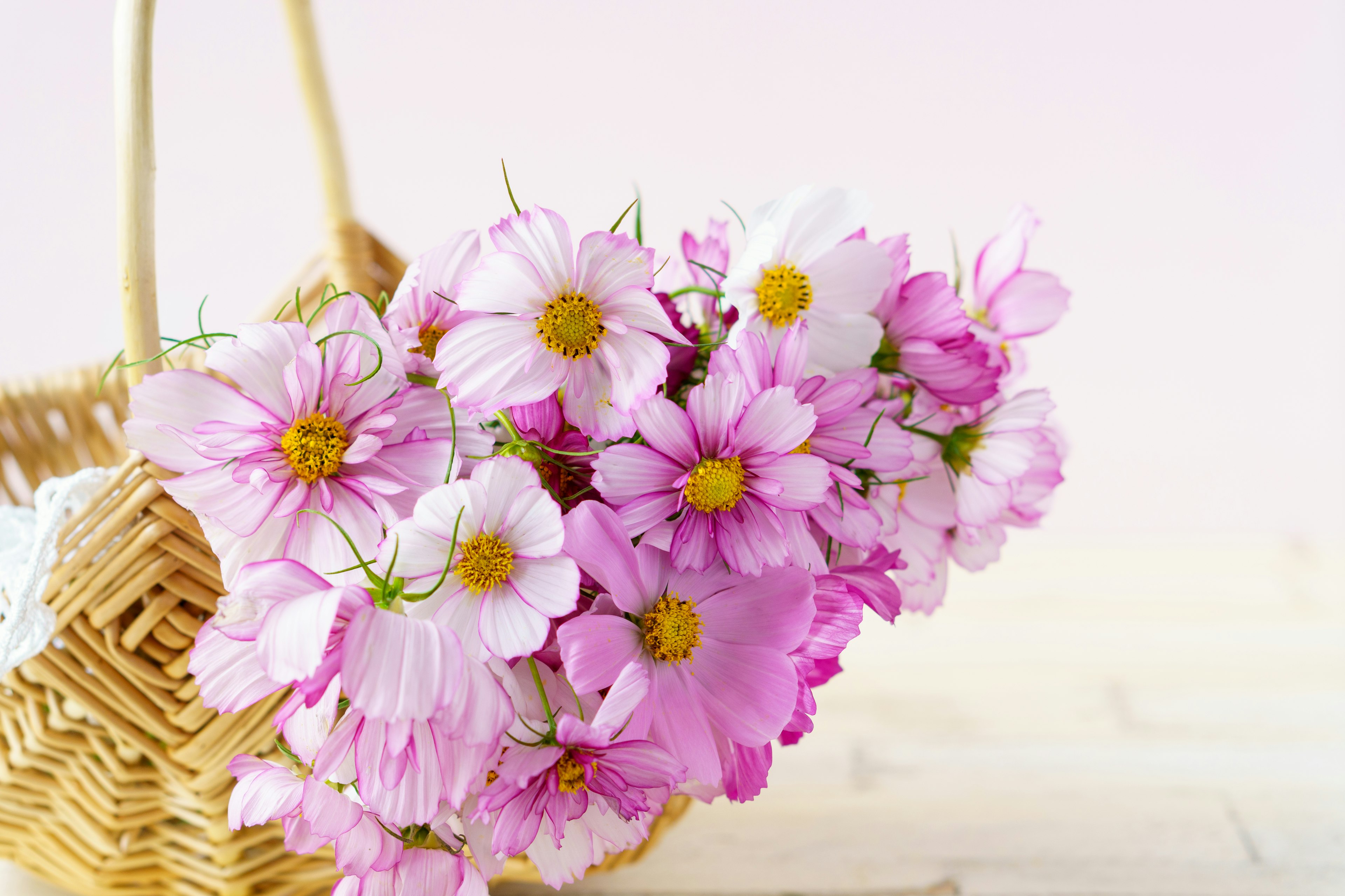 Un panier rempli de fleurs roses