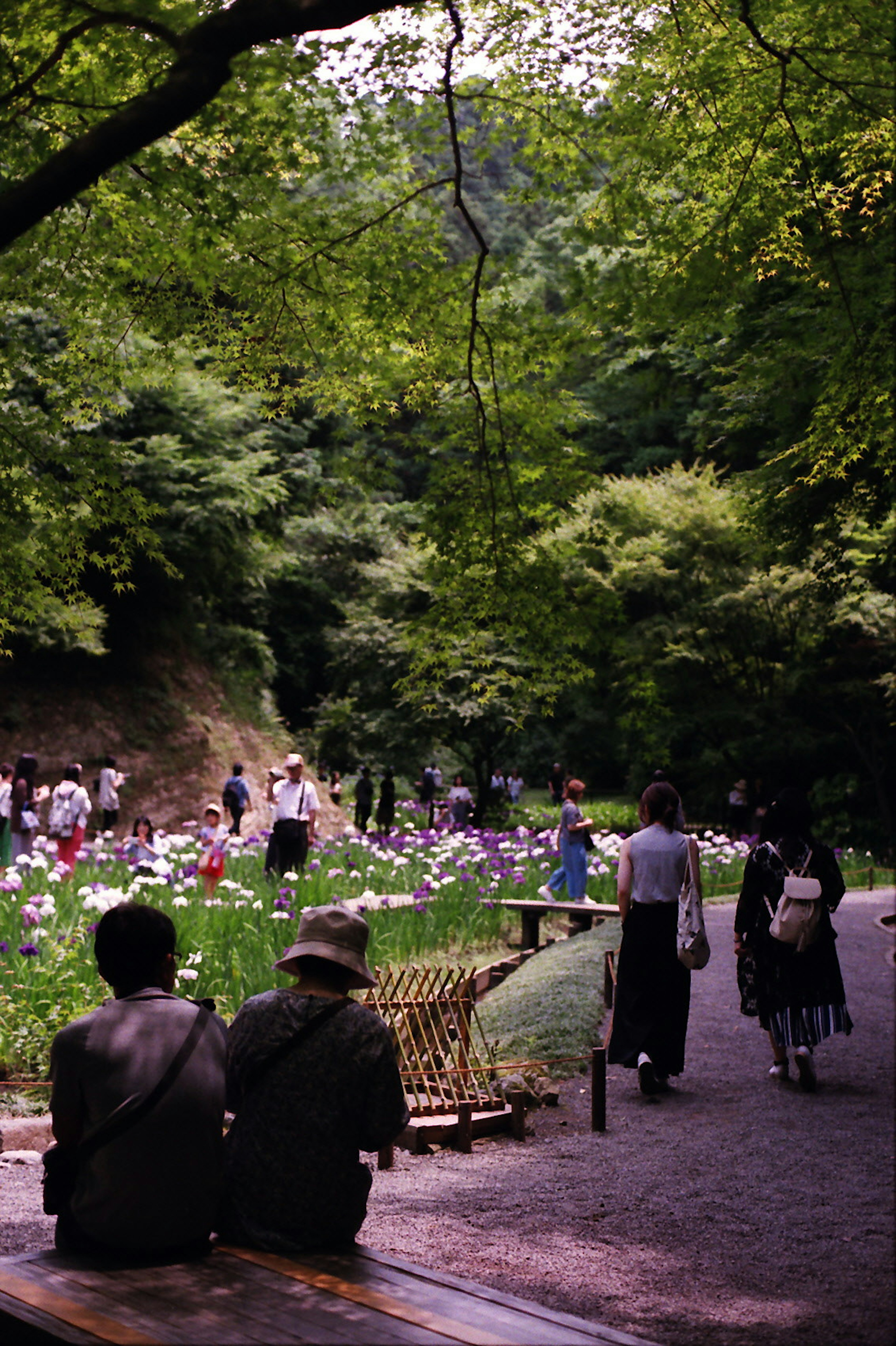 緑の木々に囲まれた公園の風景で、花が咲き誇り、訪れる人々が散策している様子