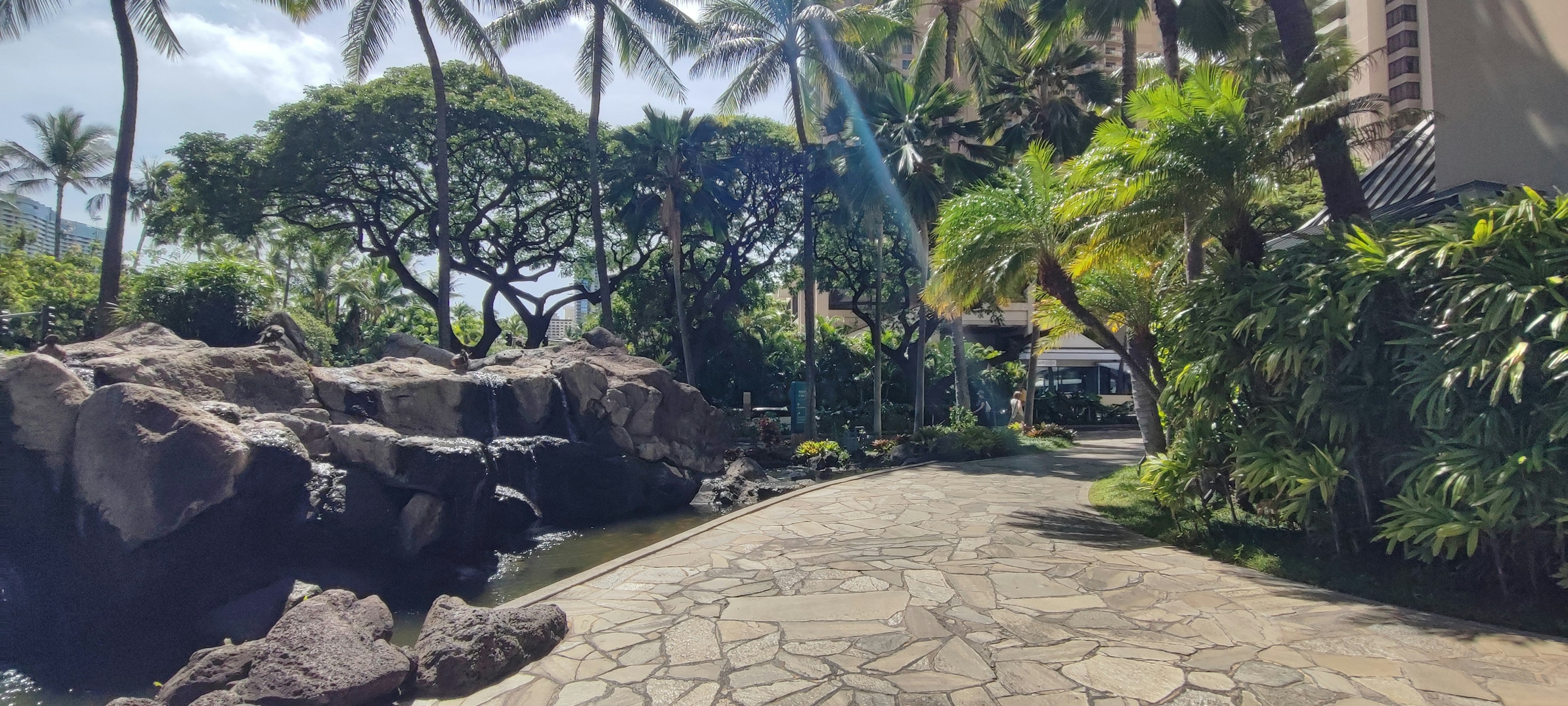 Camino tropical en un resort con pavimento de piedra vegetación exuberante y ambiente hawaiano