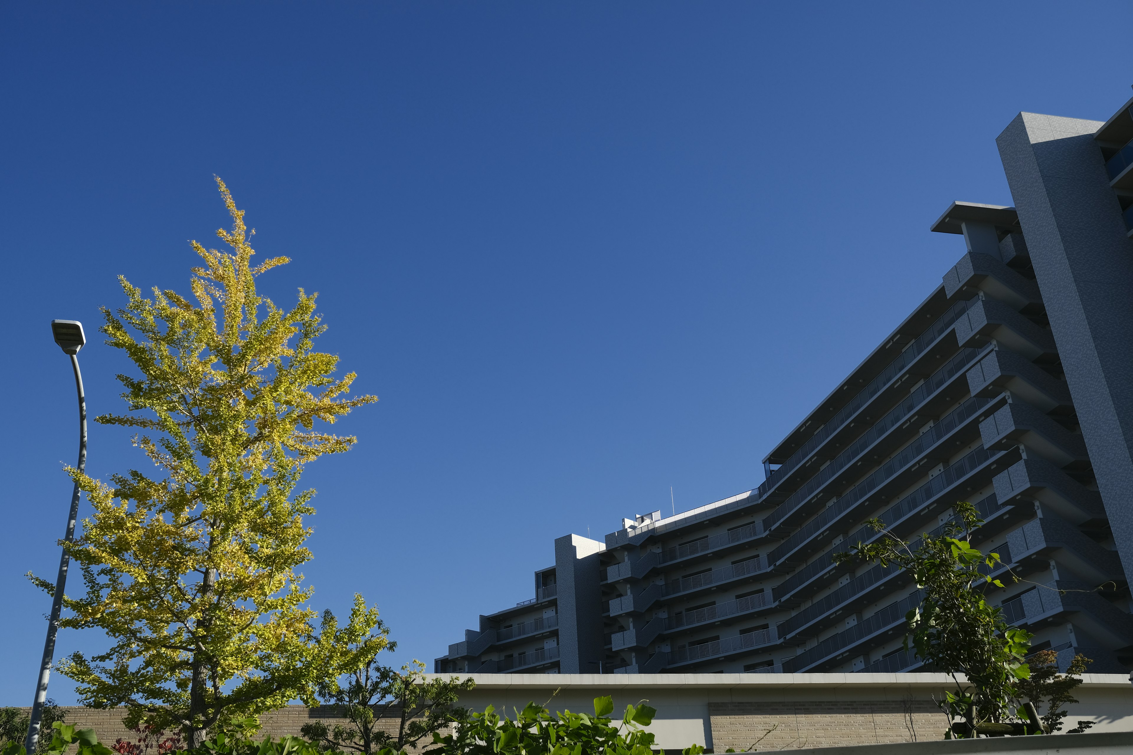 Blick auf ein Hochhaus mit gelben Bäumen unter einem blauen Himmel