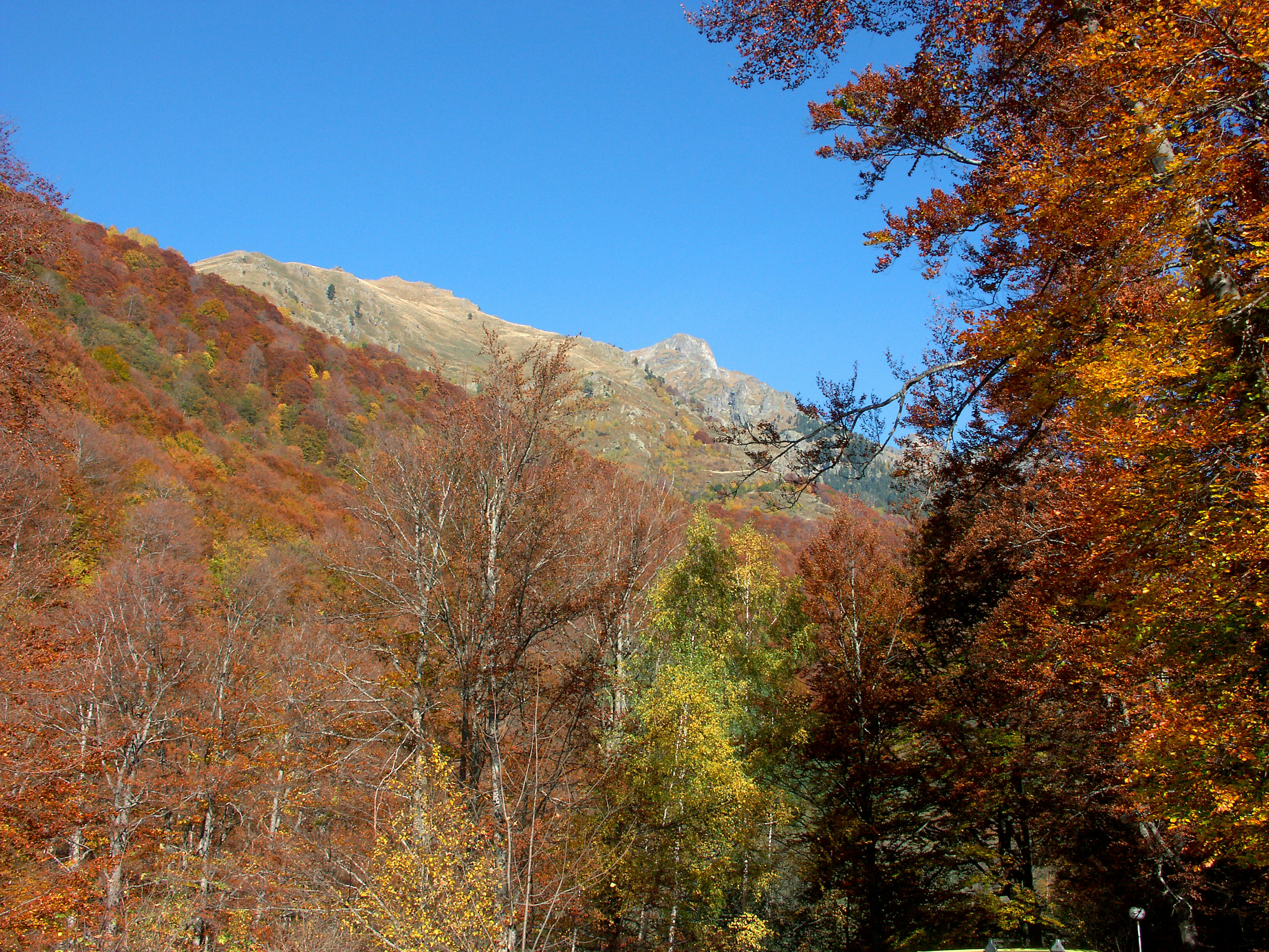 色とりどりの秋の木々に囲まれた山の風景