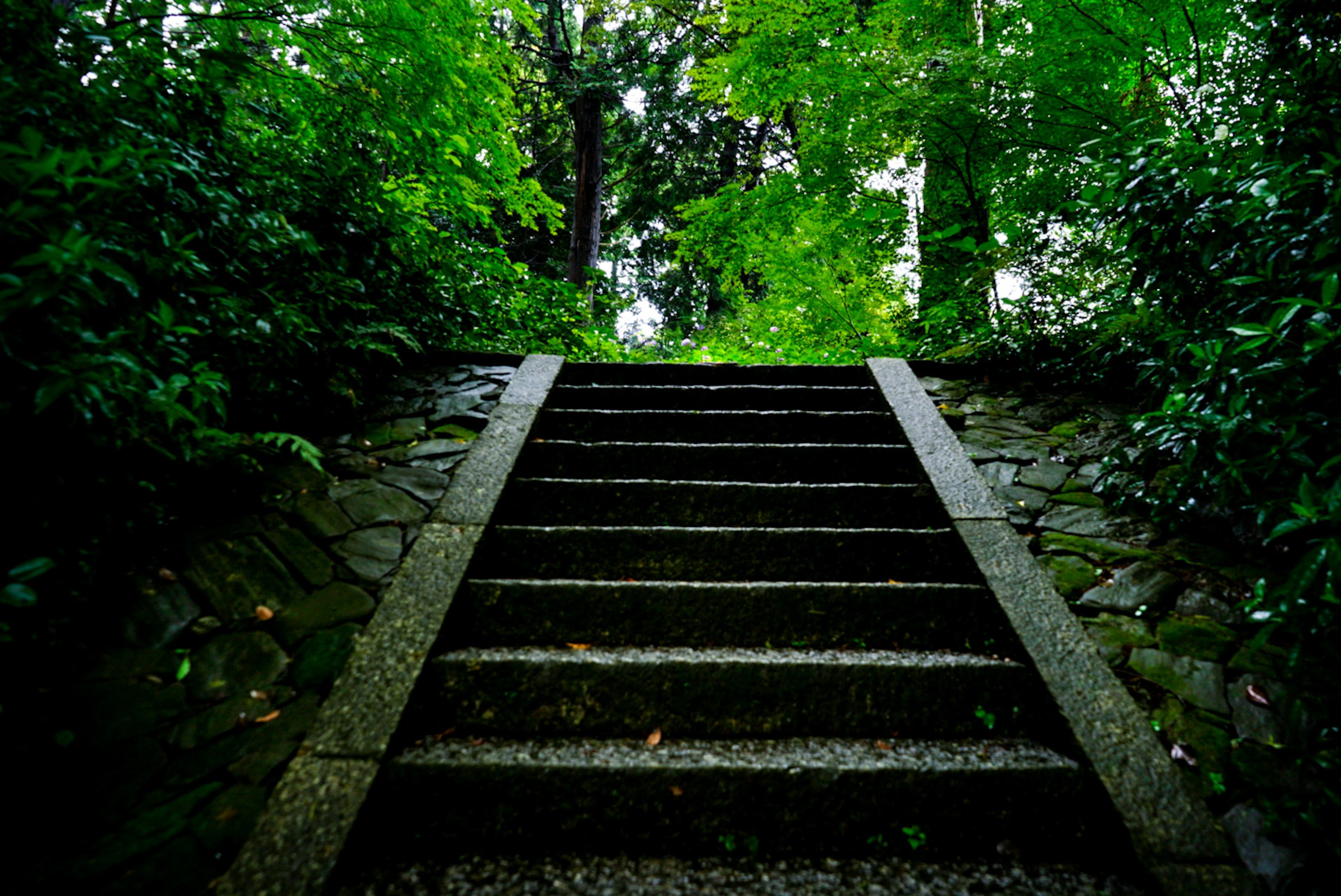 Escalier en pierre entouré de verdure luxuriante dans un cadre serein