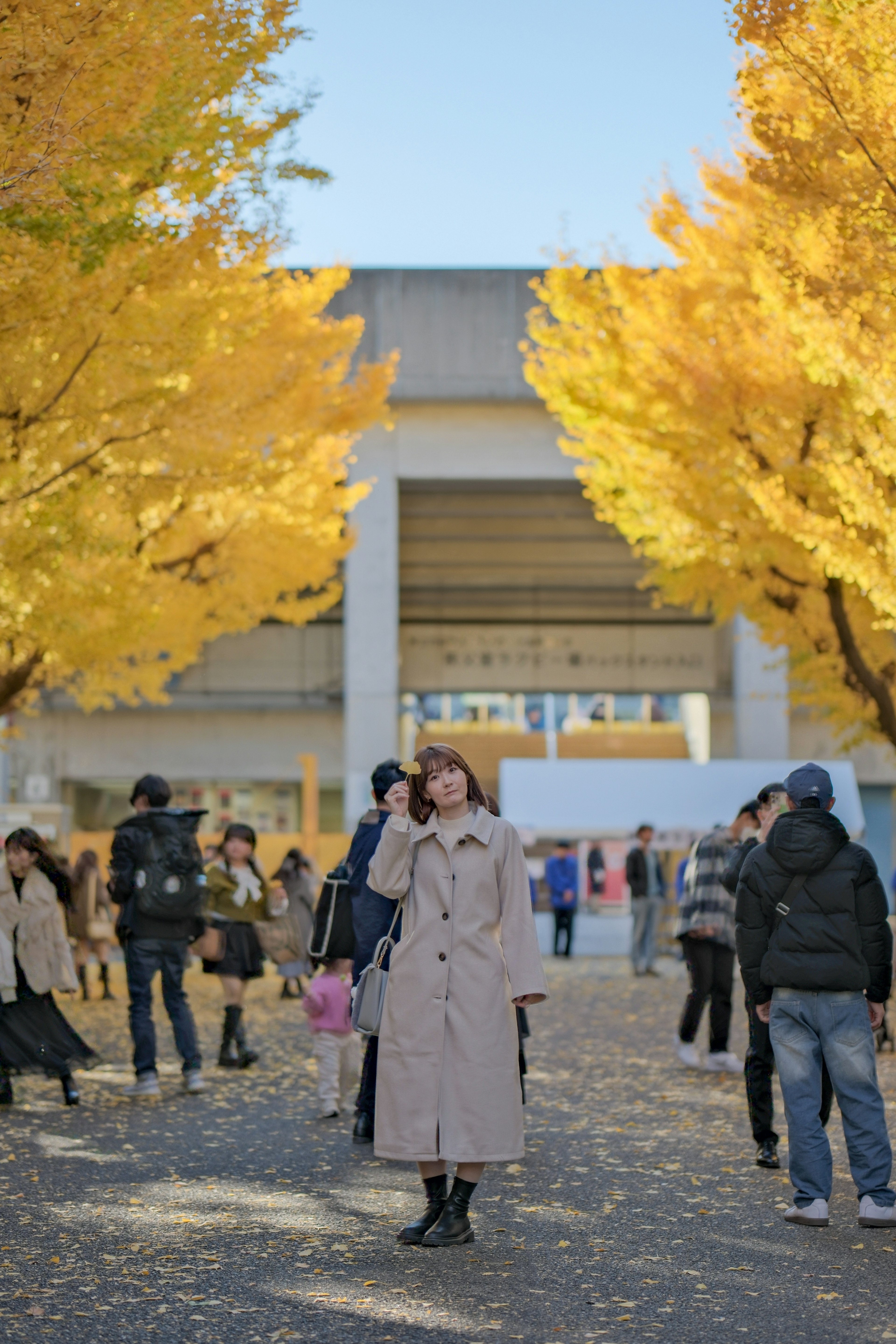 秋の銀杏の木に囲まれた公園で立つ女性