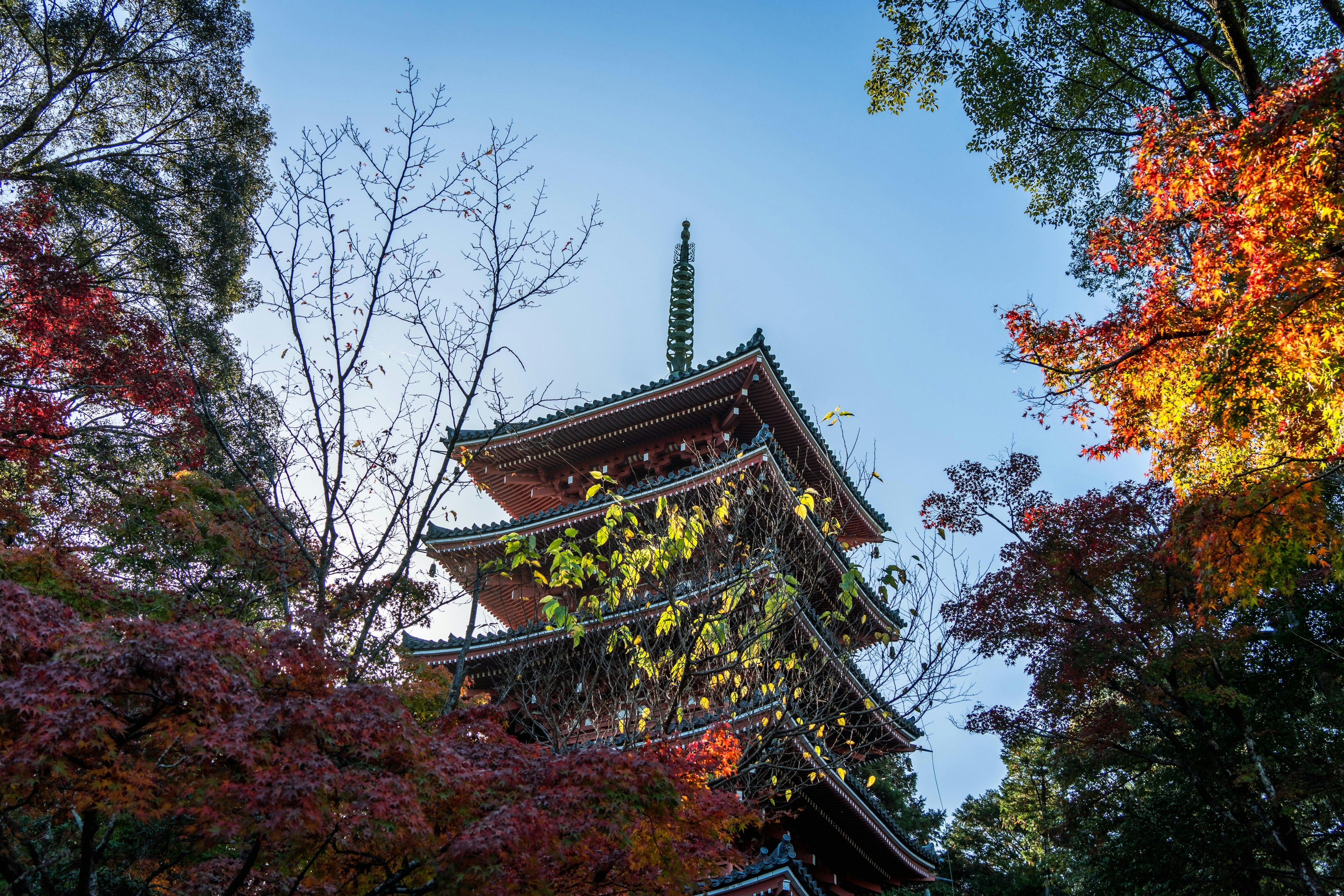 色とりどりの紅葉に囲まれた五重塔の風景