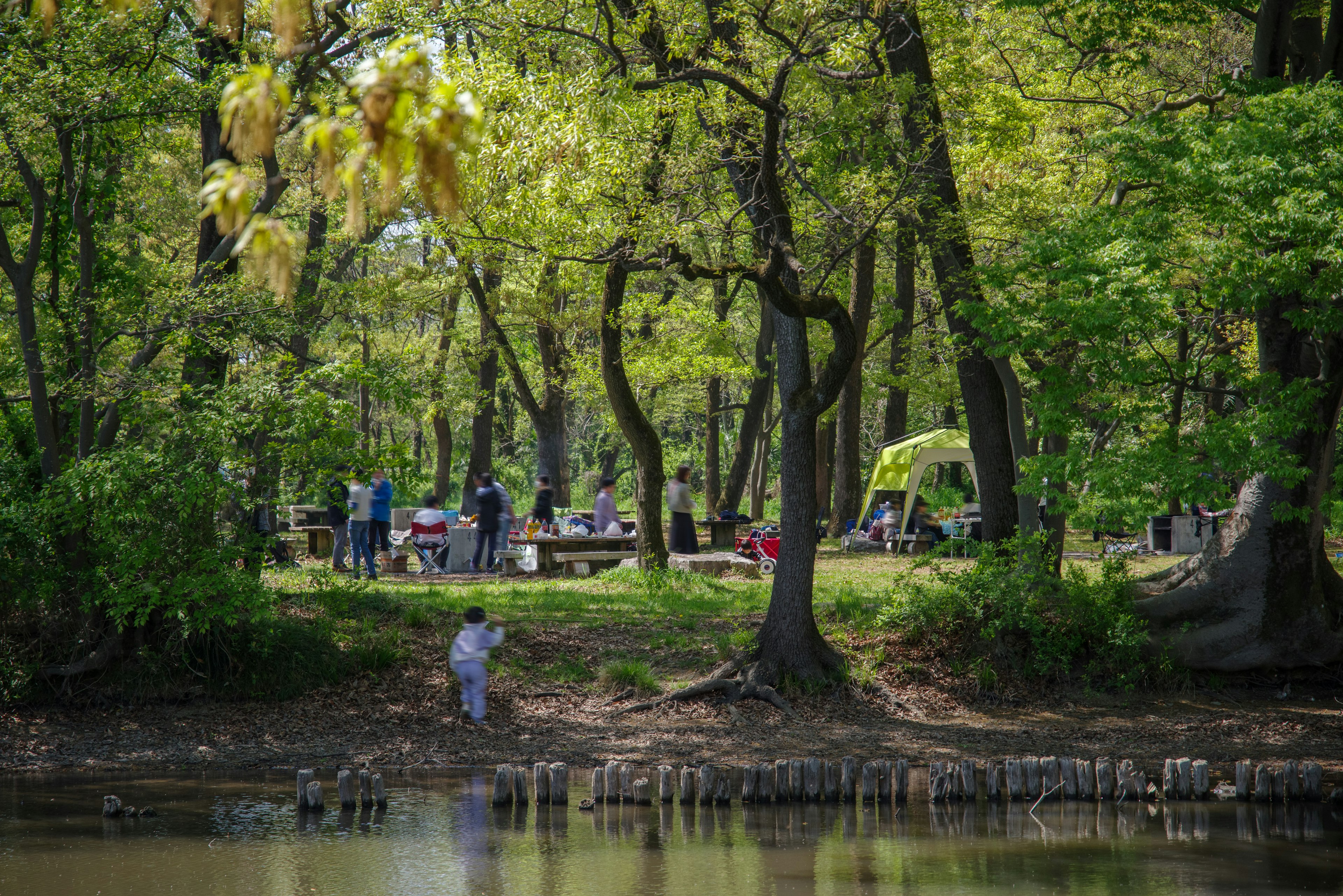 Personas disfrutando de un picnic en un bosque frondoso junto al río con un niño jugando