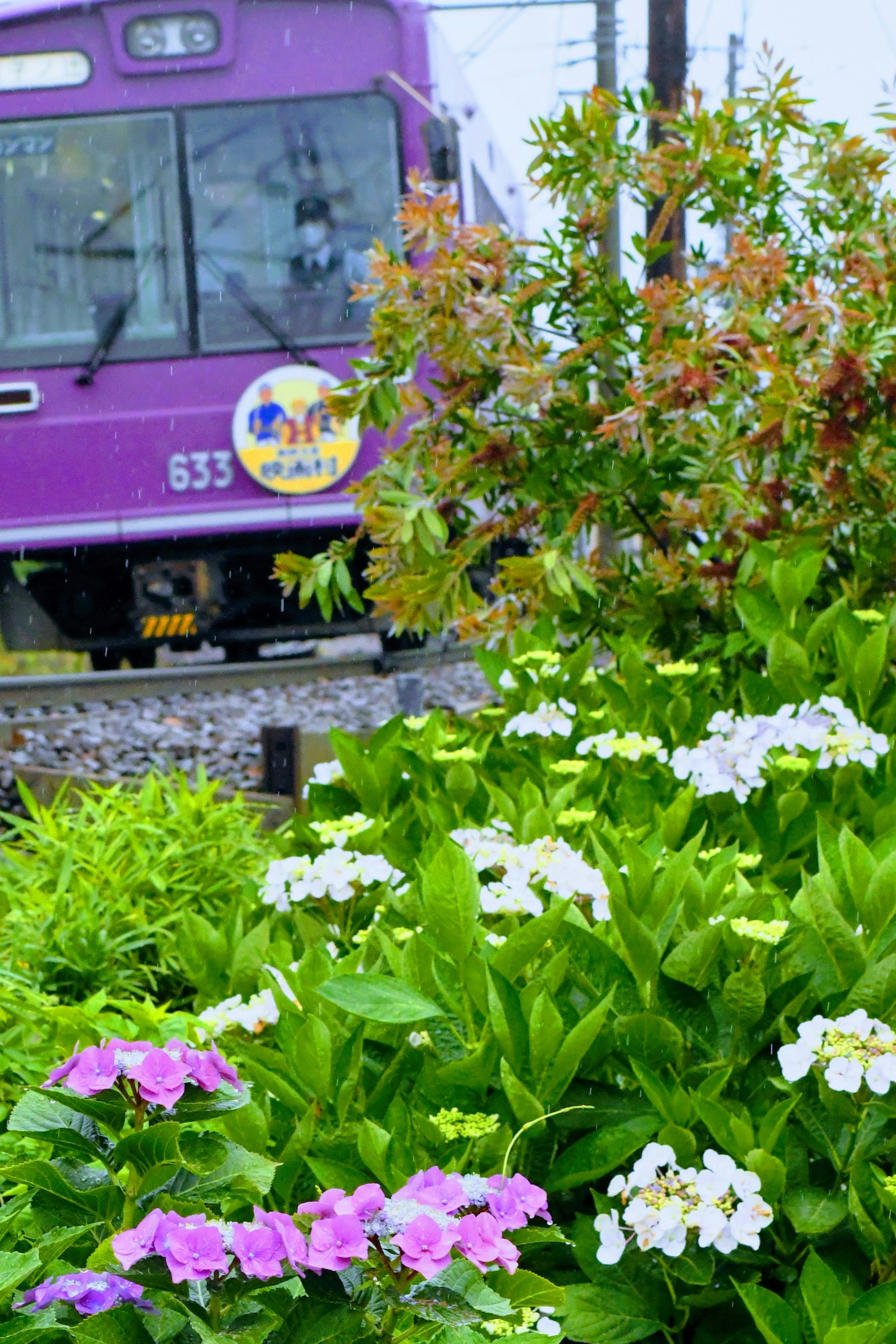 Purple train with colorful flowers in the foreground