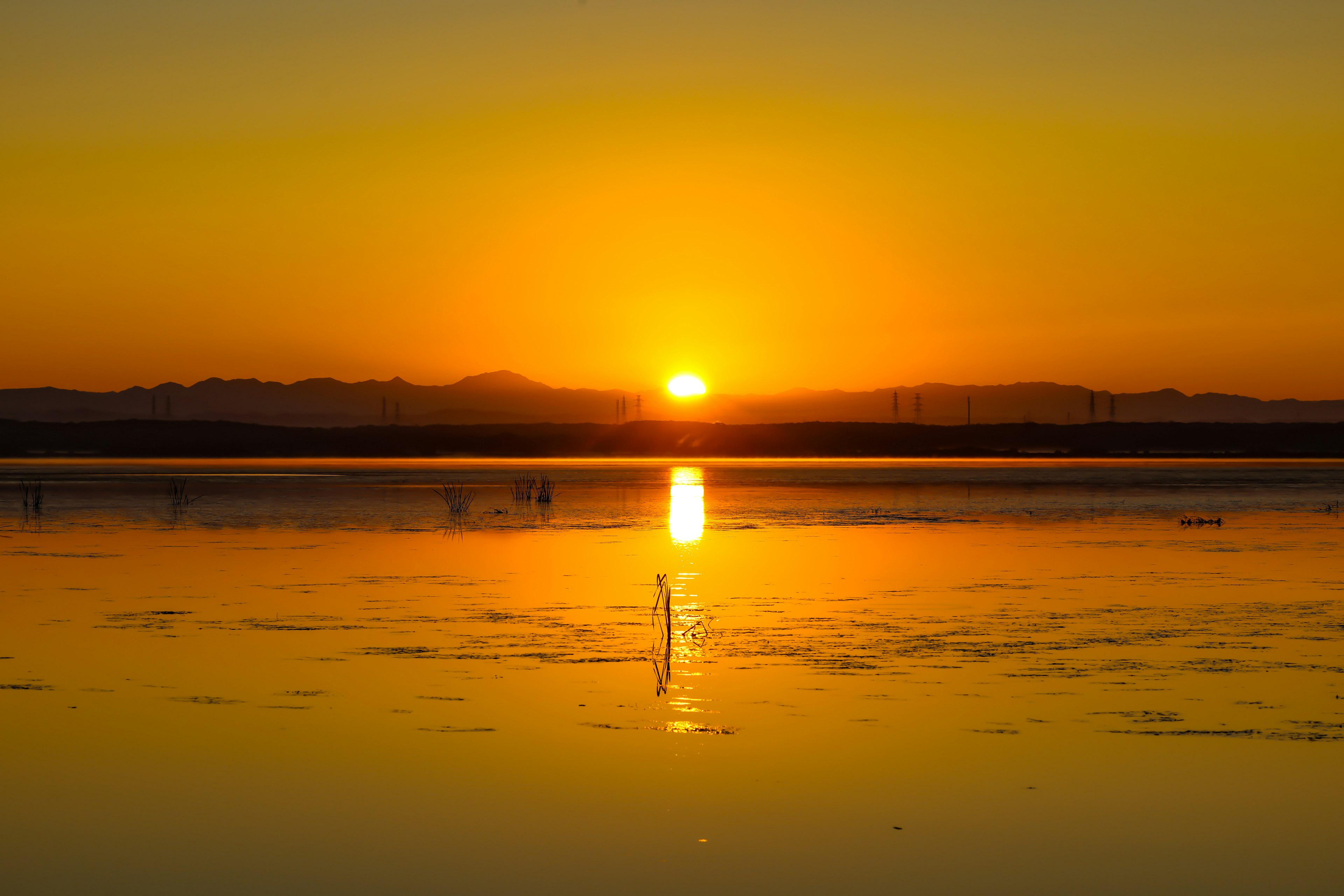 美しい夕日の反射が水面に広がる穏やかな風景