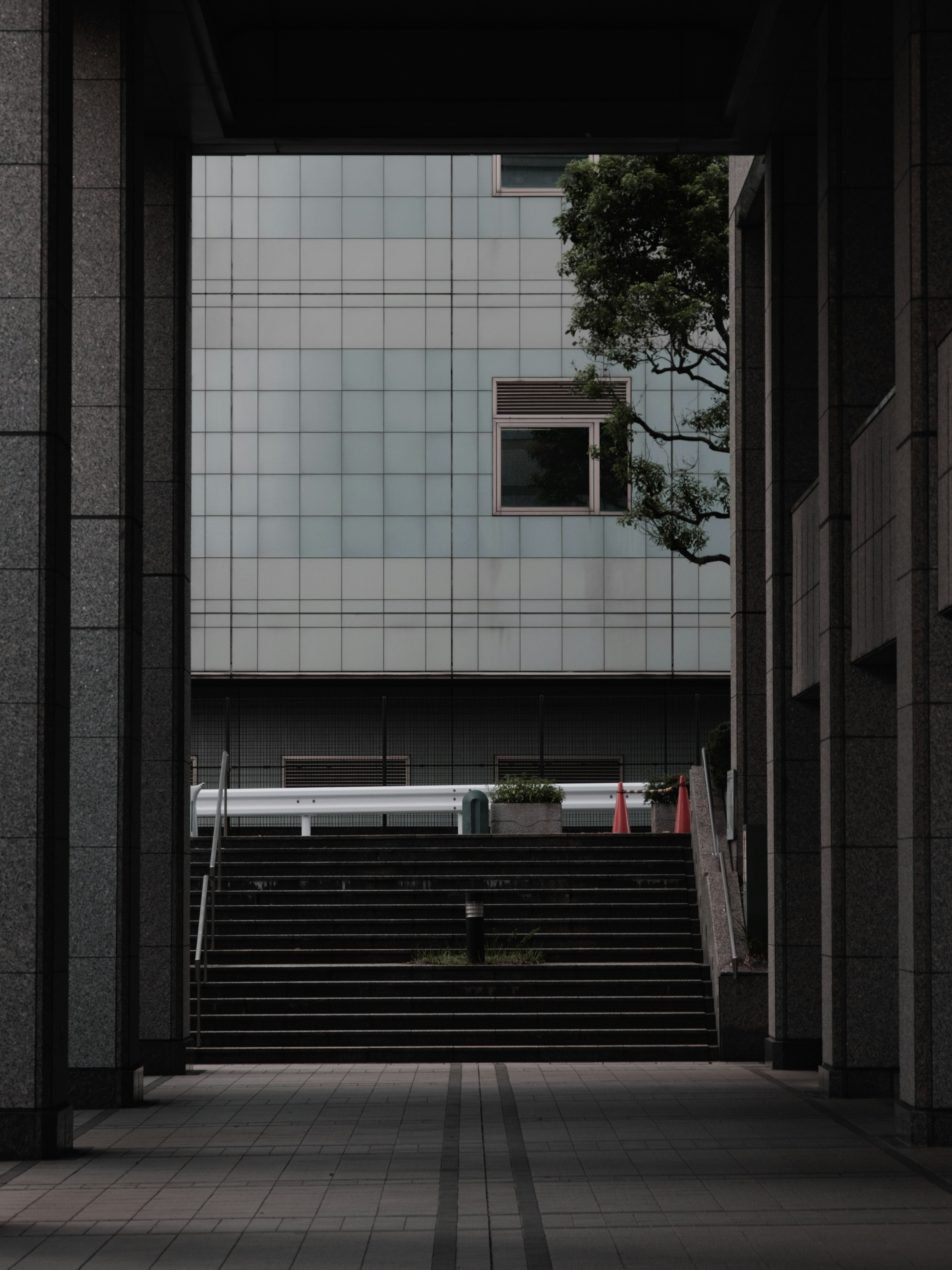 Stairs leading up between two modern buildings with a tree visible