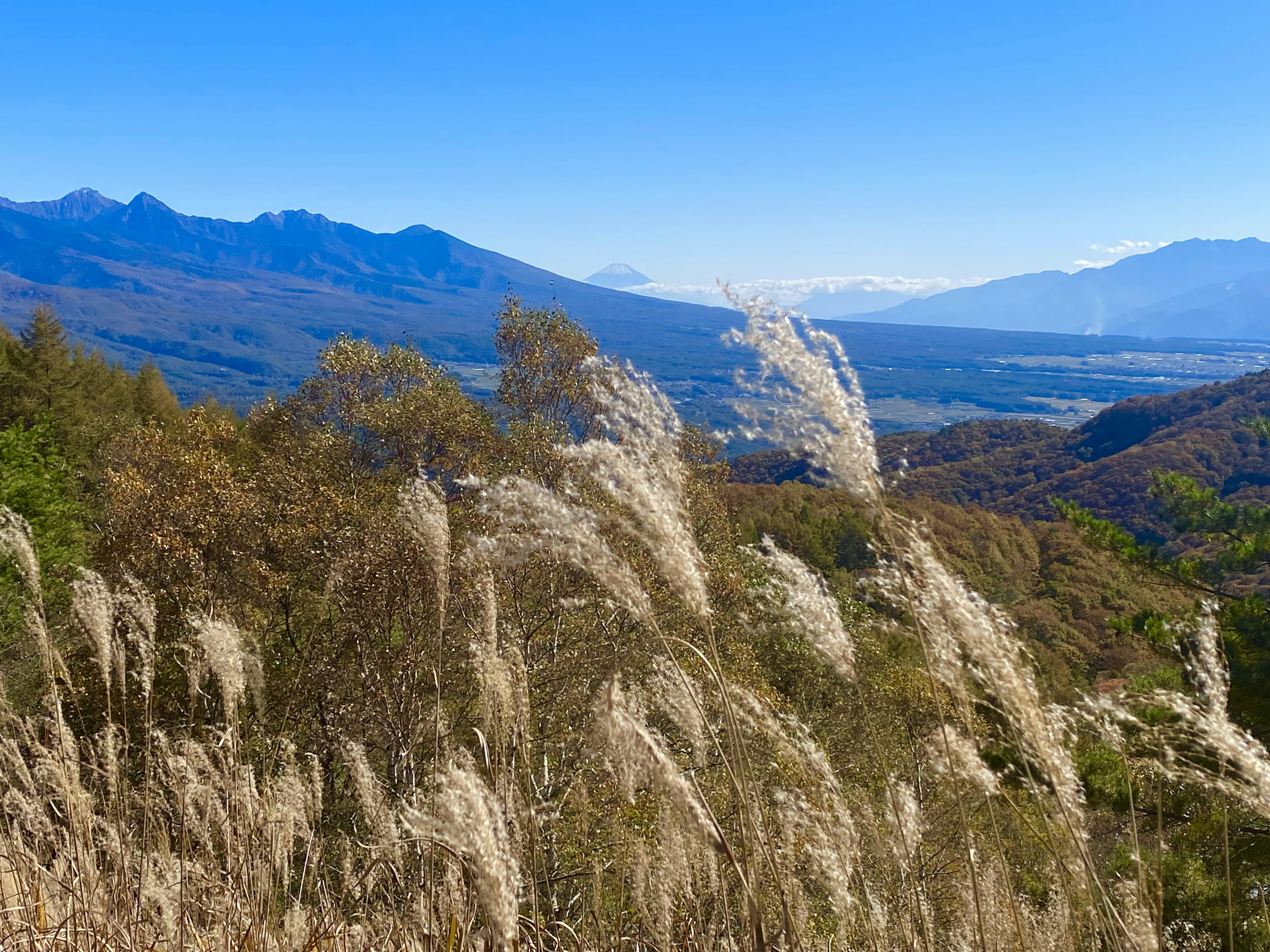 Vista escénica de montañas con hierba alta ondeando en primer plano