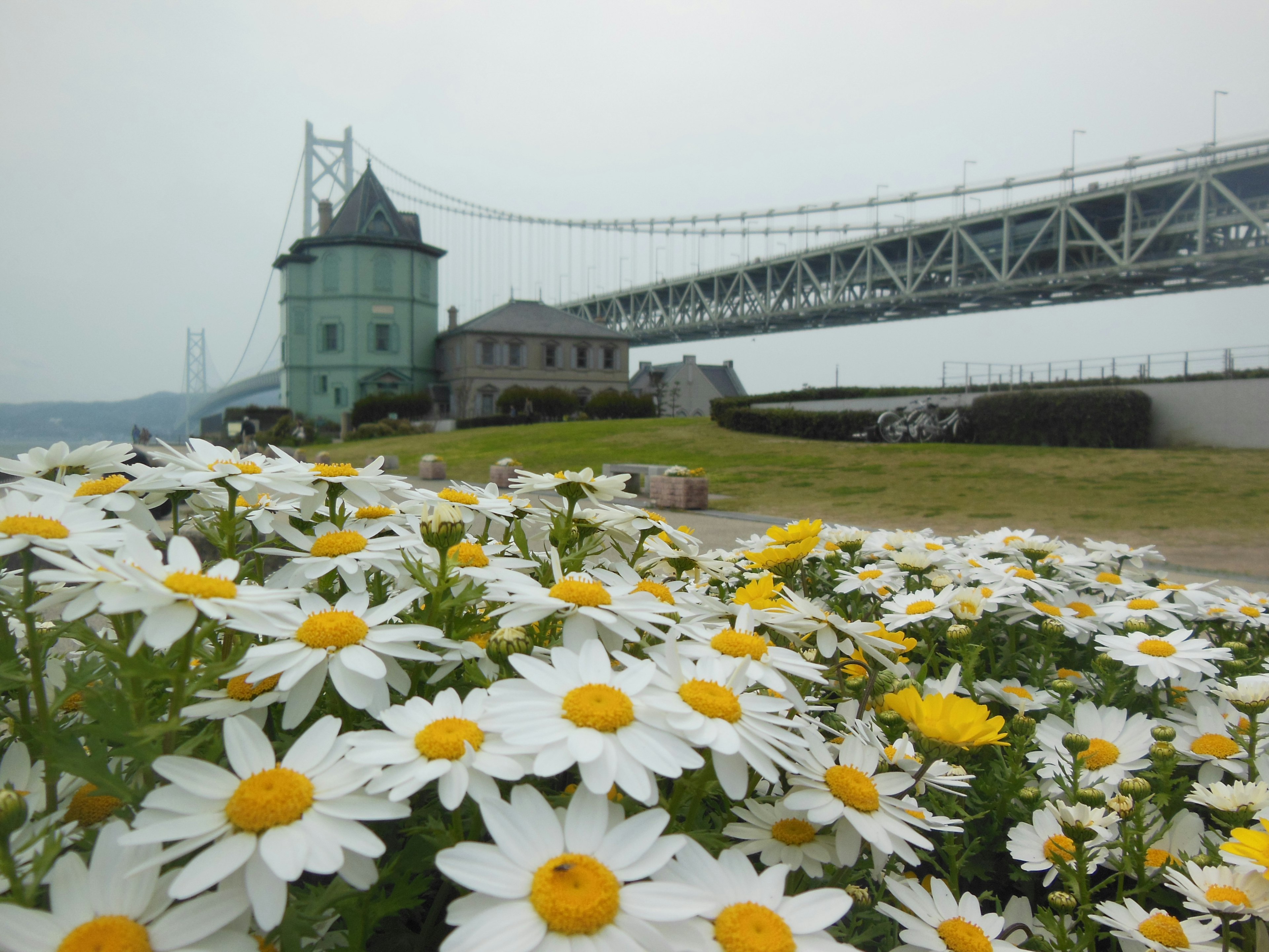 橋と花畑の美しい風景