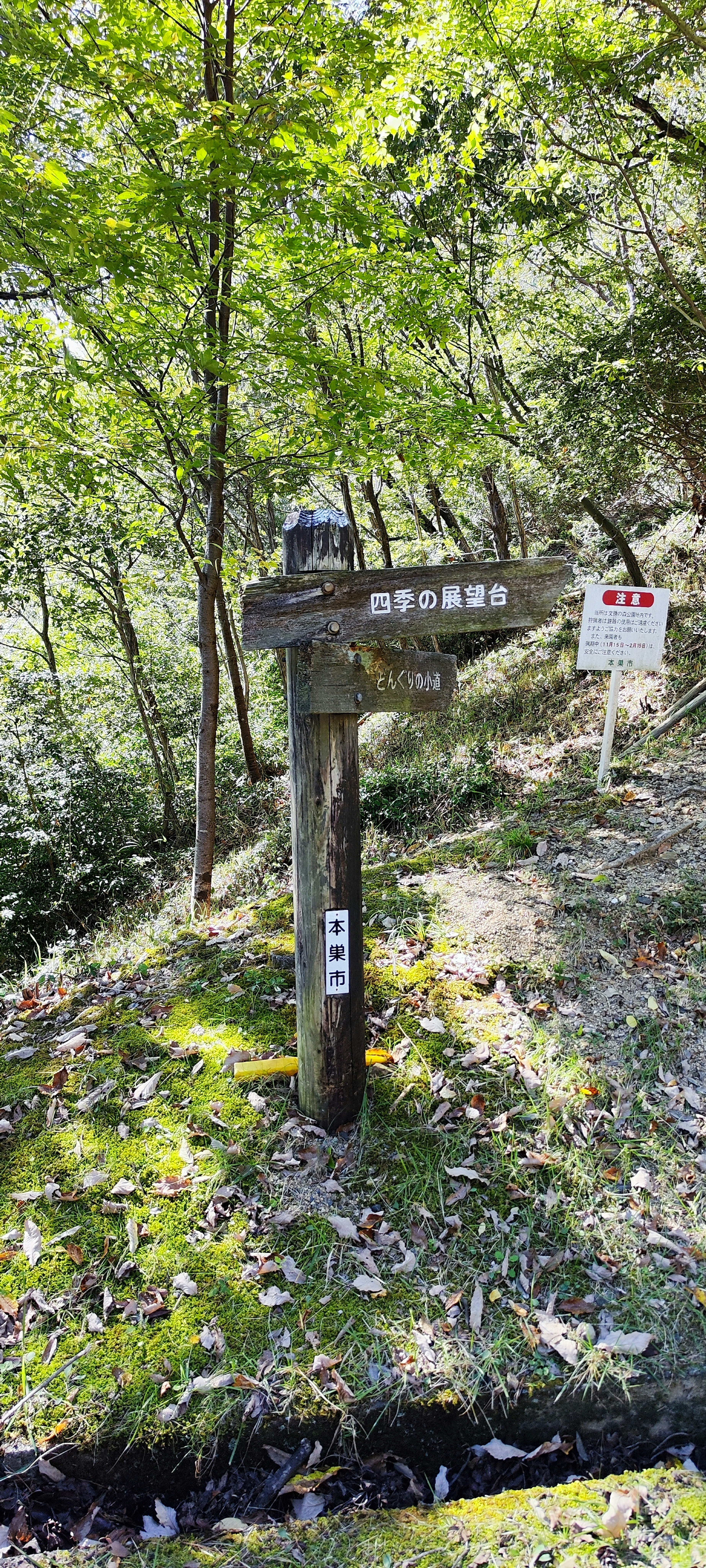 Holzschild in einem Wald mit einem roten Warnschild in der Nähe