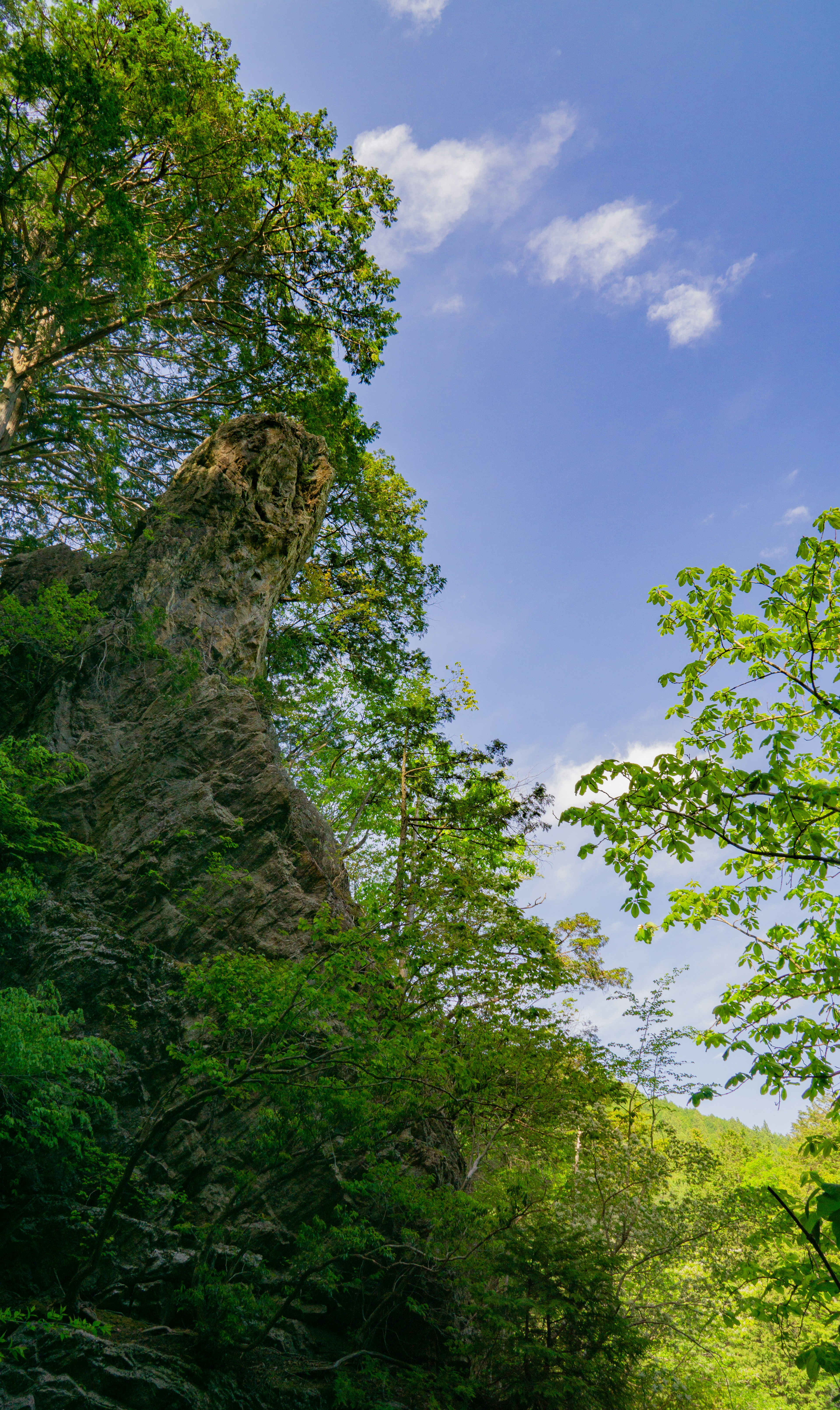 Rock formation surrounded by lush green trees and blue sky