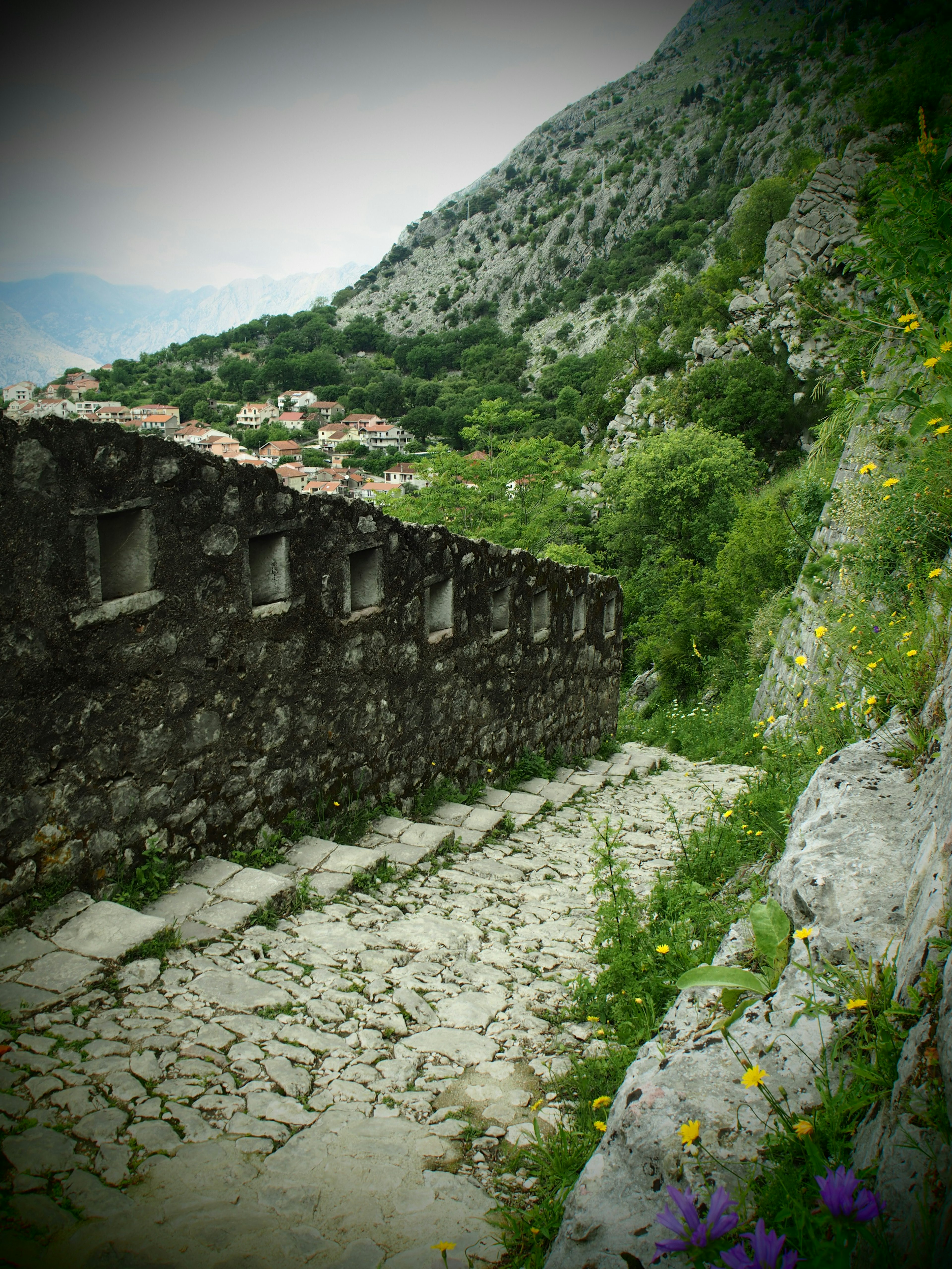 Stone steps leading down with lush greenery and mountain backdrop