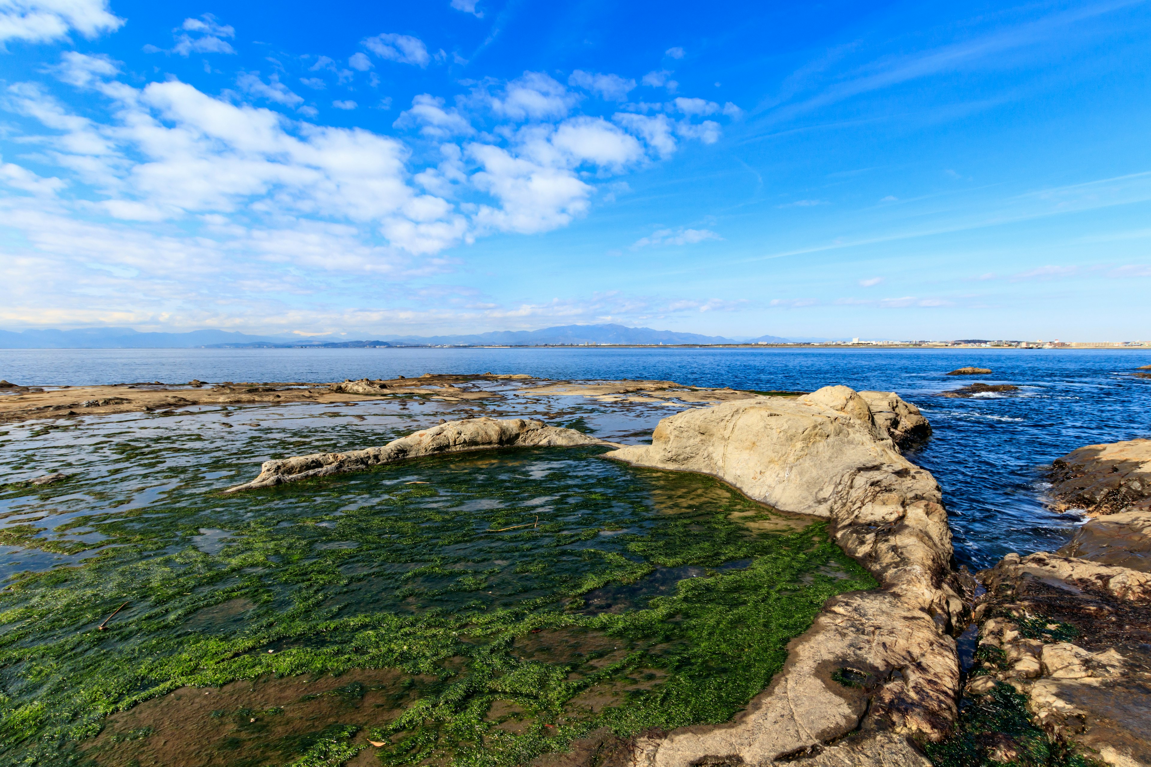 Vue panoramique du ciel bleu et de l'océan avec des algues vertes sur le rivage rocheux