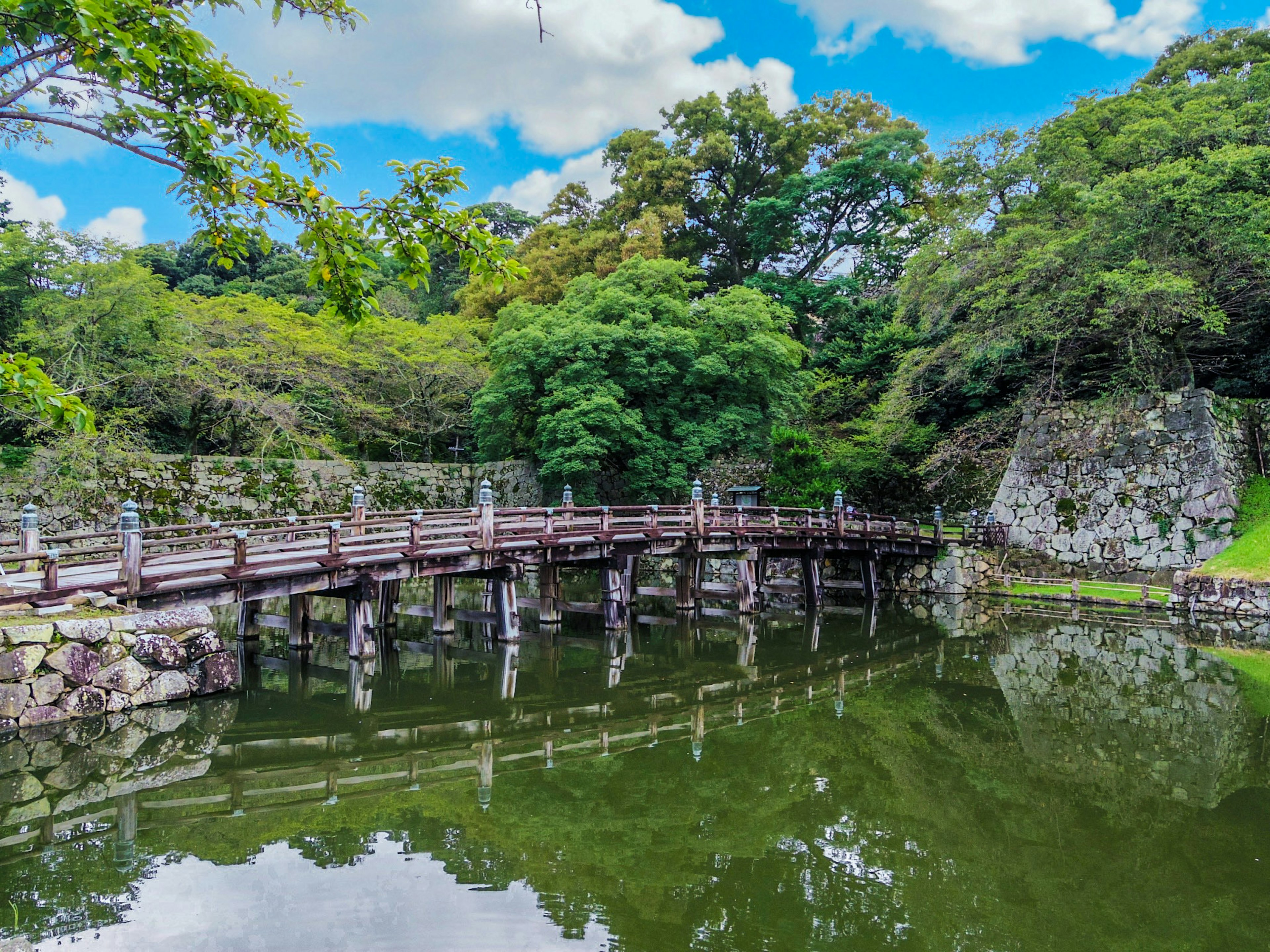 Wooden bridge over a tranquil pond surrounded by lush greenery and blue sky