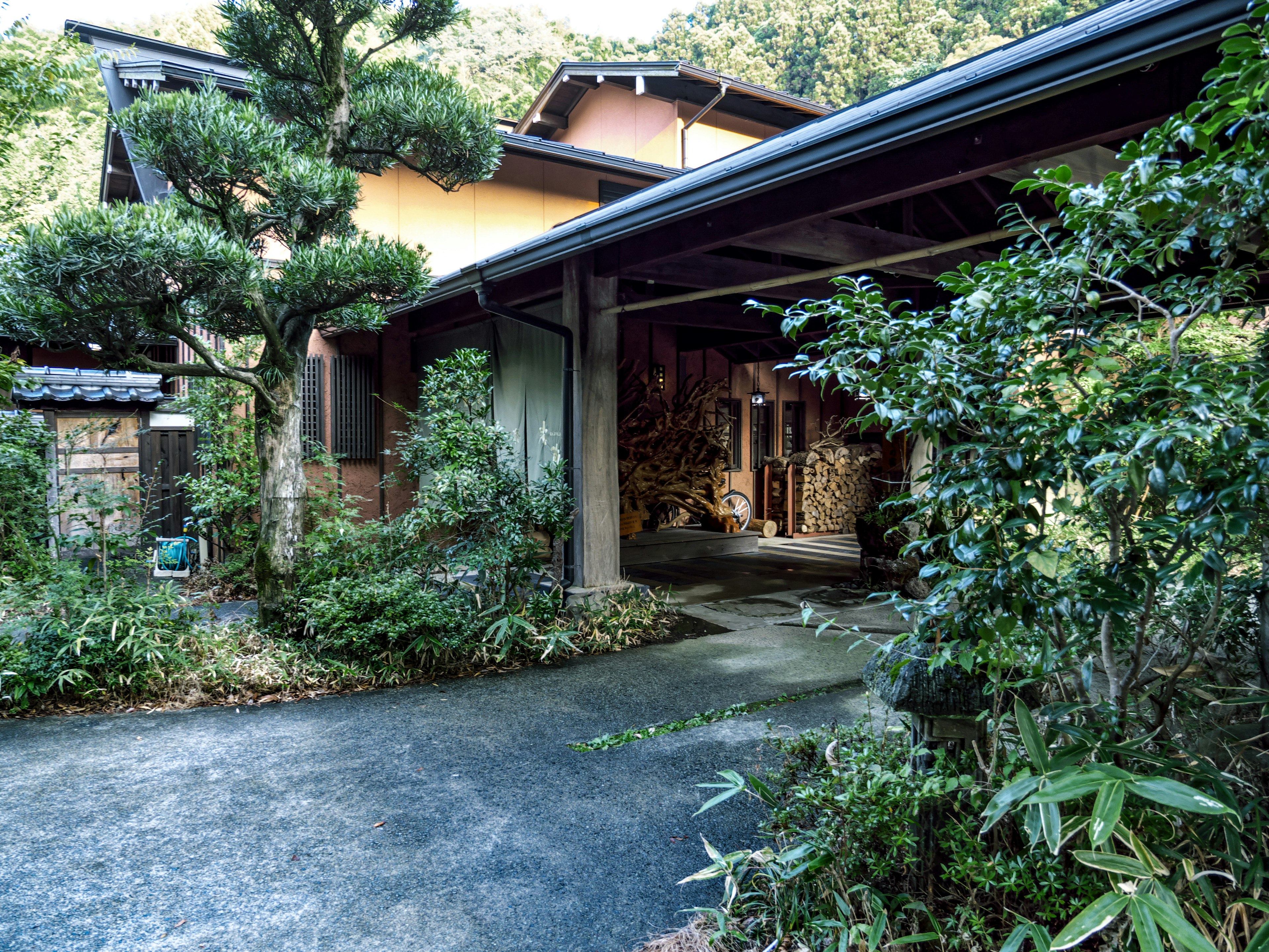 Entrance of a traditional Japanese house surrounded by lush greenery and plants