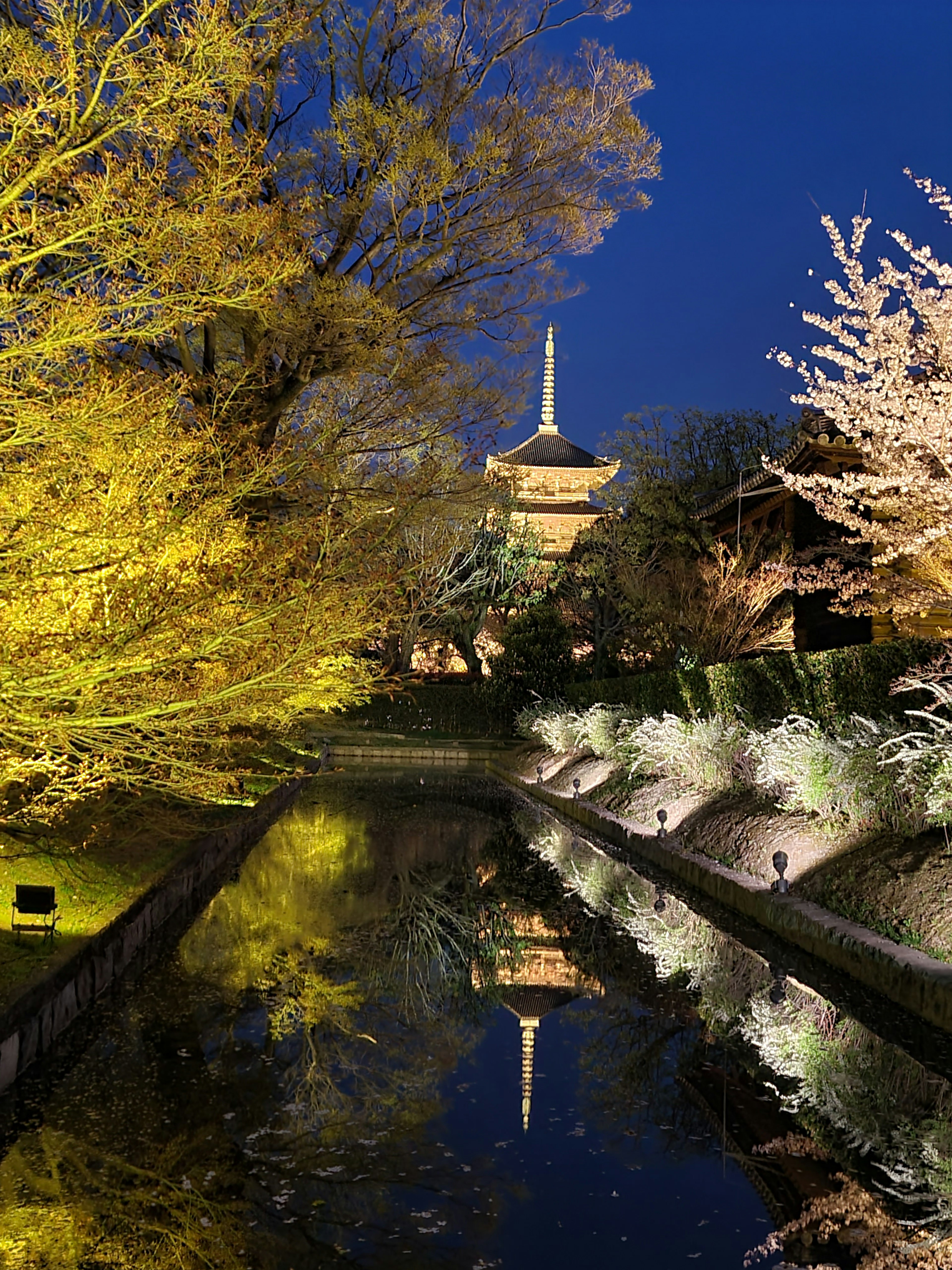 Hermosa vista nocturna de hojas de otoño y cerezos reflejándose en un estanque del jardín