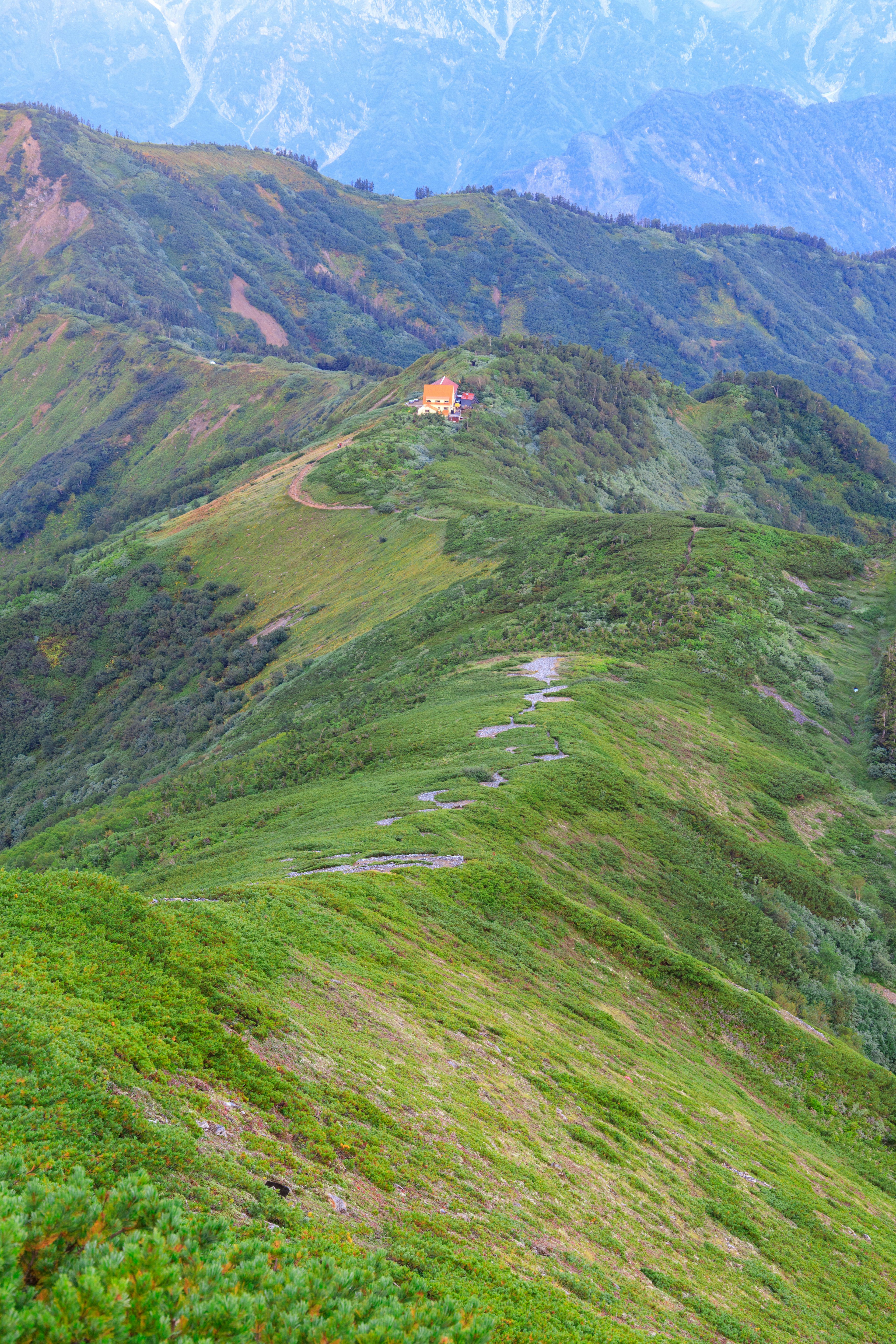 緑豊かな山々と小さな建物が見える風景