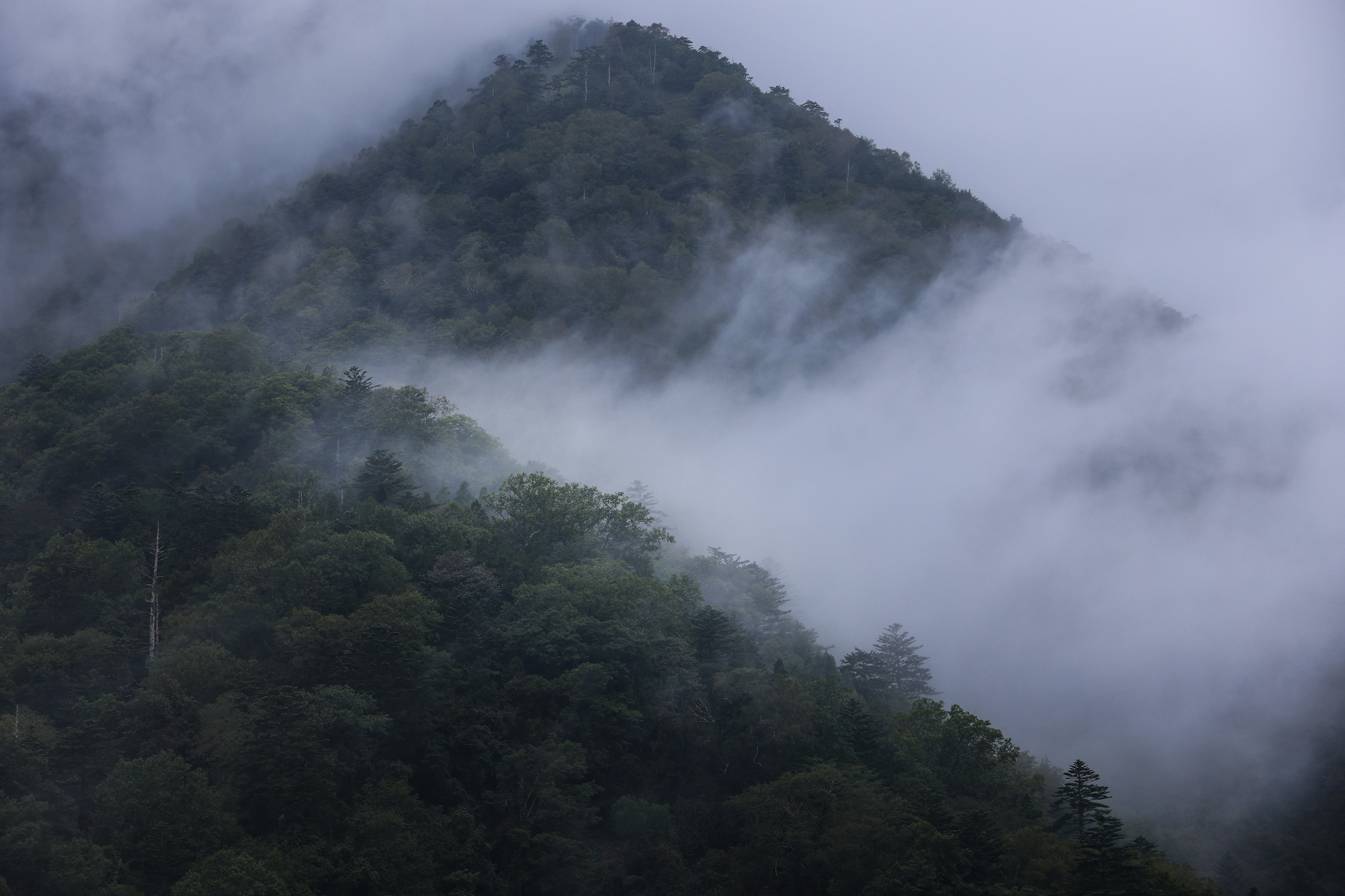 Paisaje montañoso envuelto en niebla