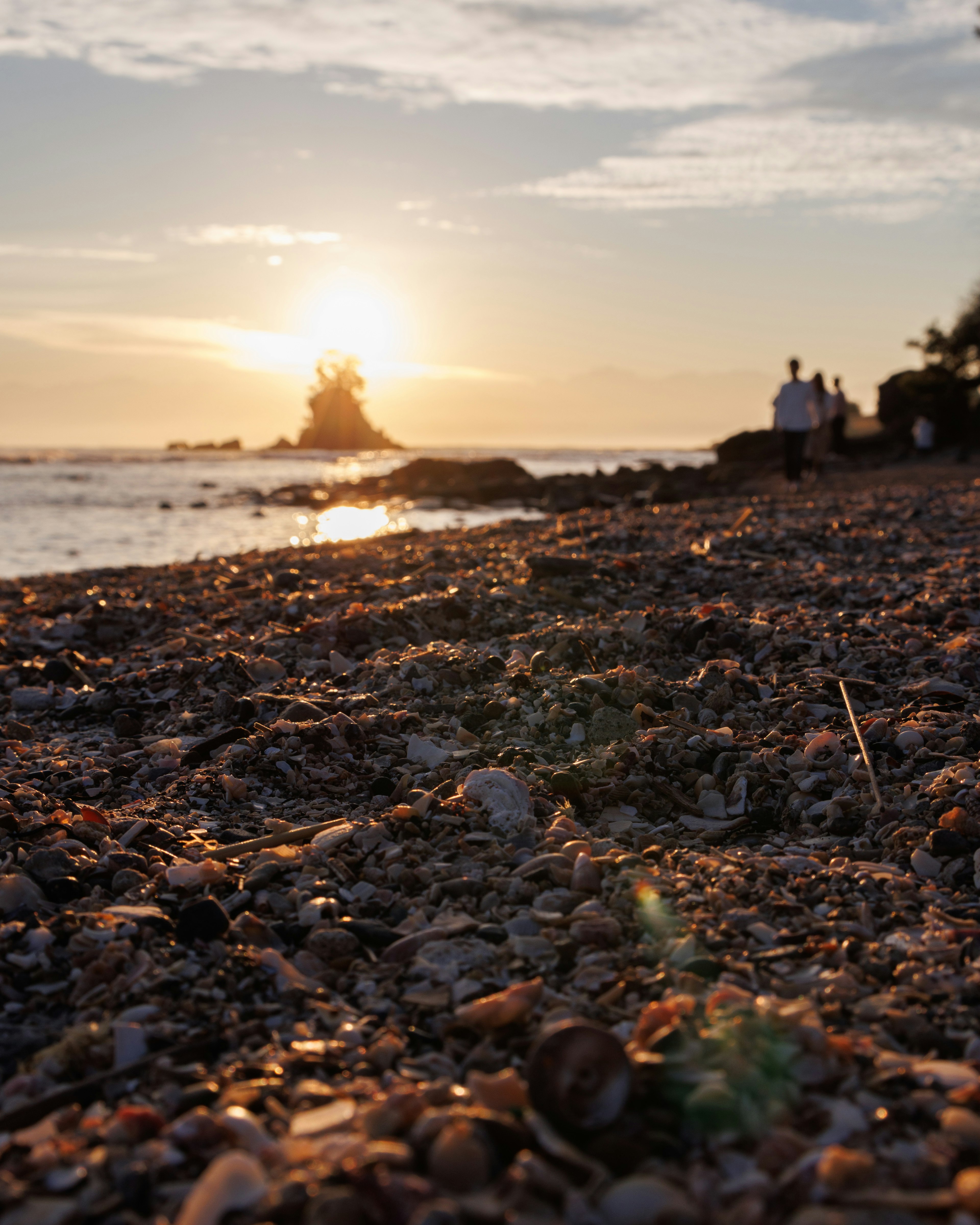 Scena di spiaggia con tramonto e conchiglie in primo piano