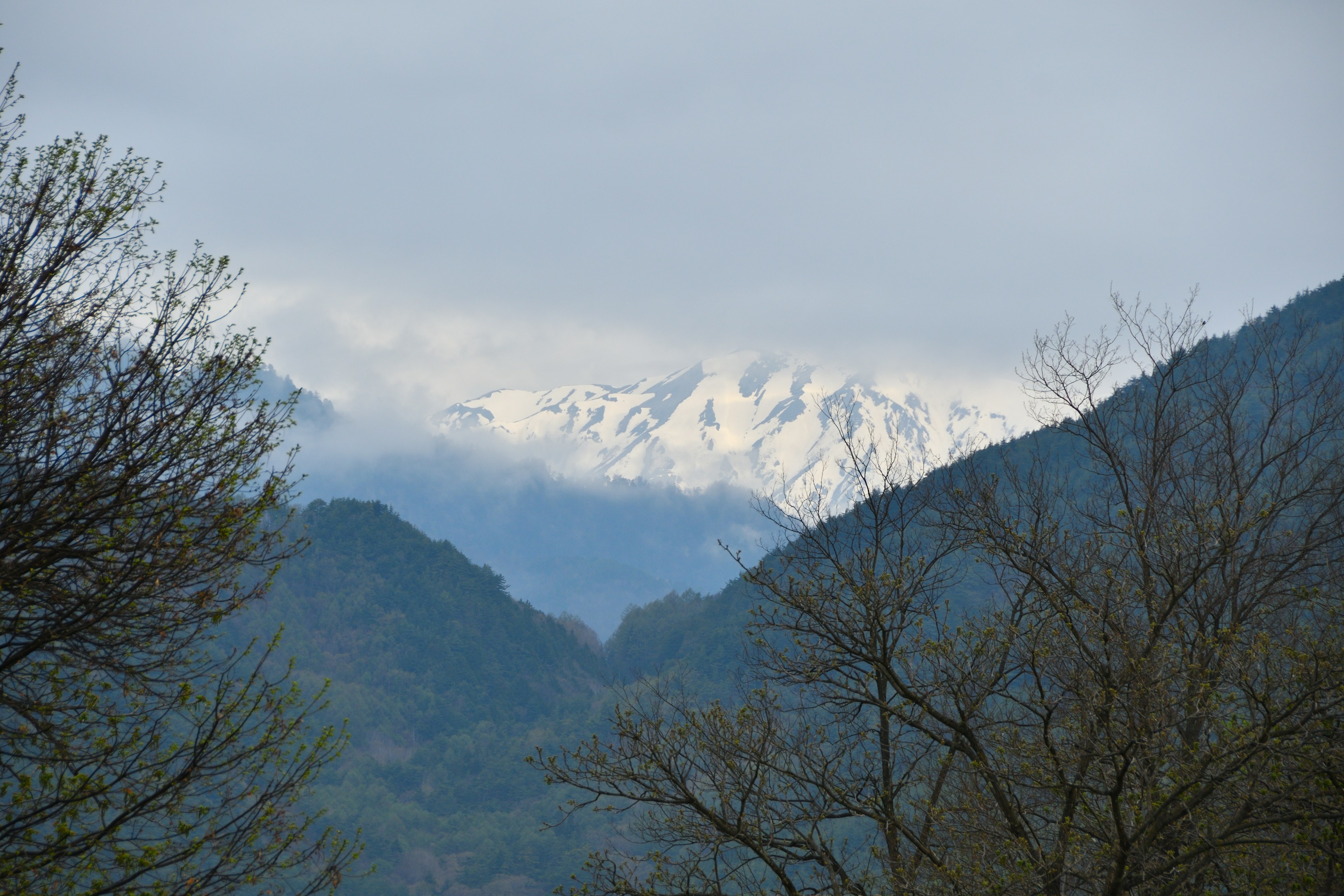 雪山與郁郁蔥蔥山谷的美景