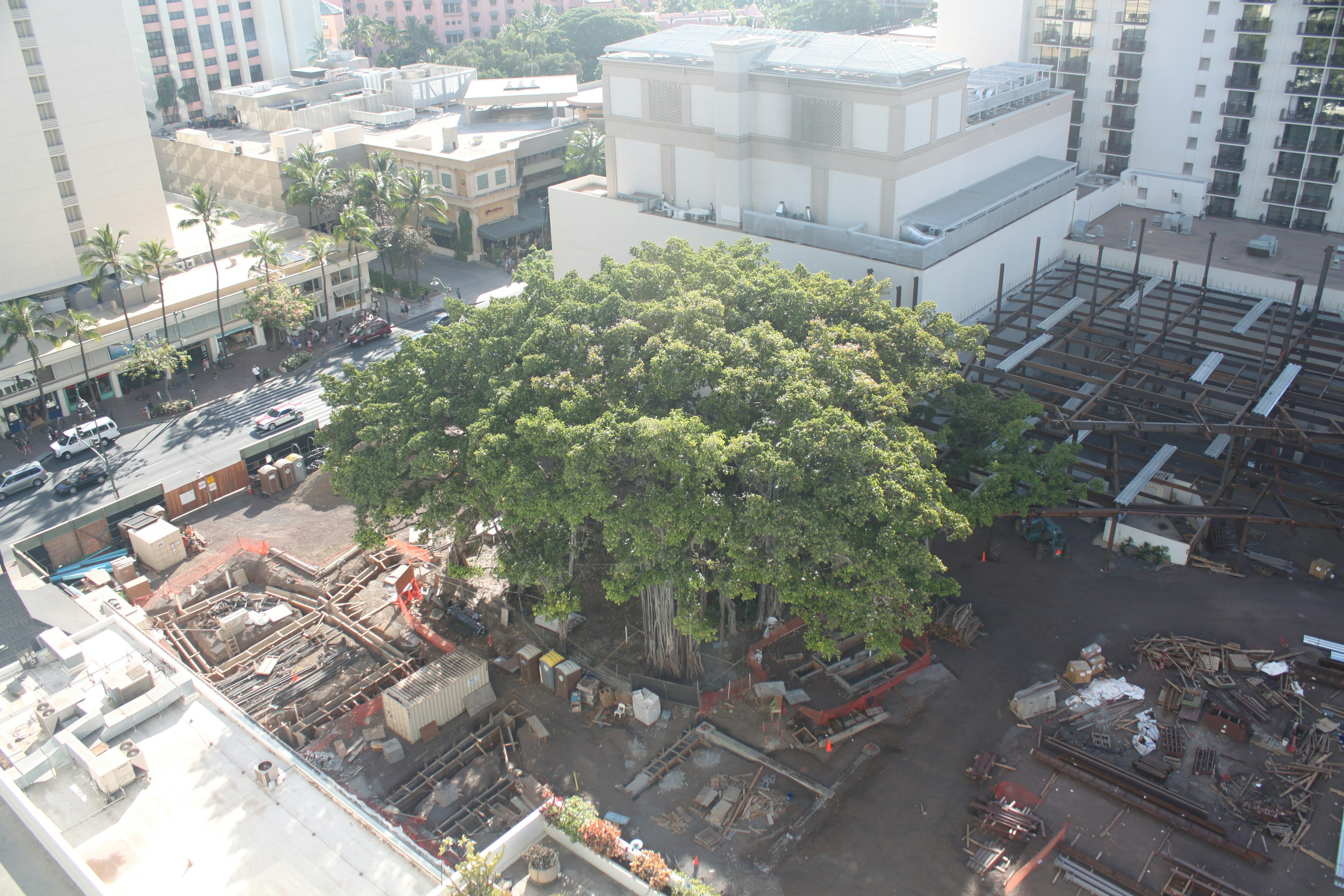 Vista aérea de un sitio de construcción con un gran árbol