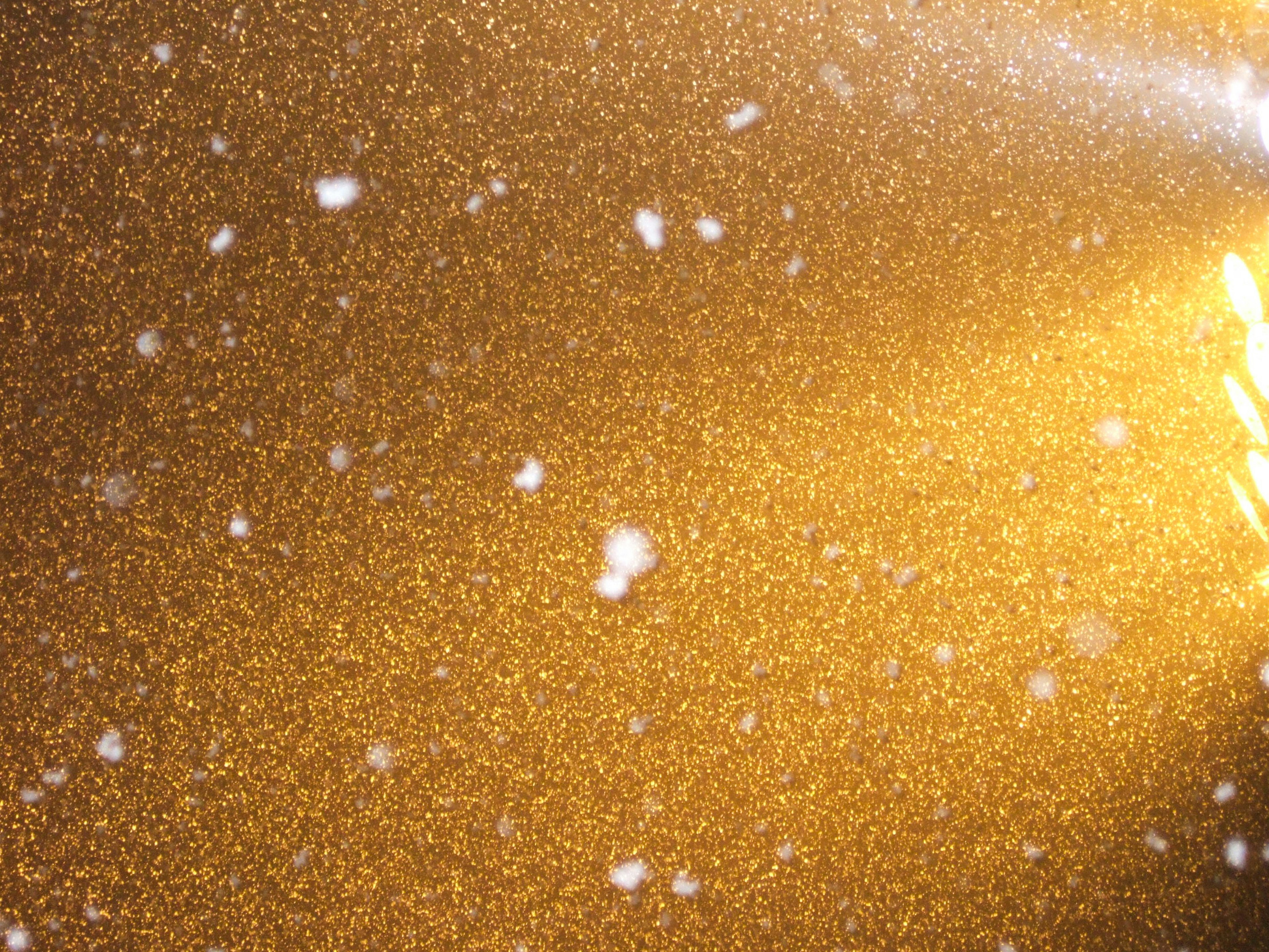 Shimmering golden surface with scattered white particles