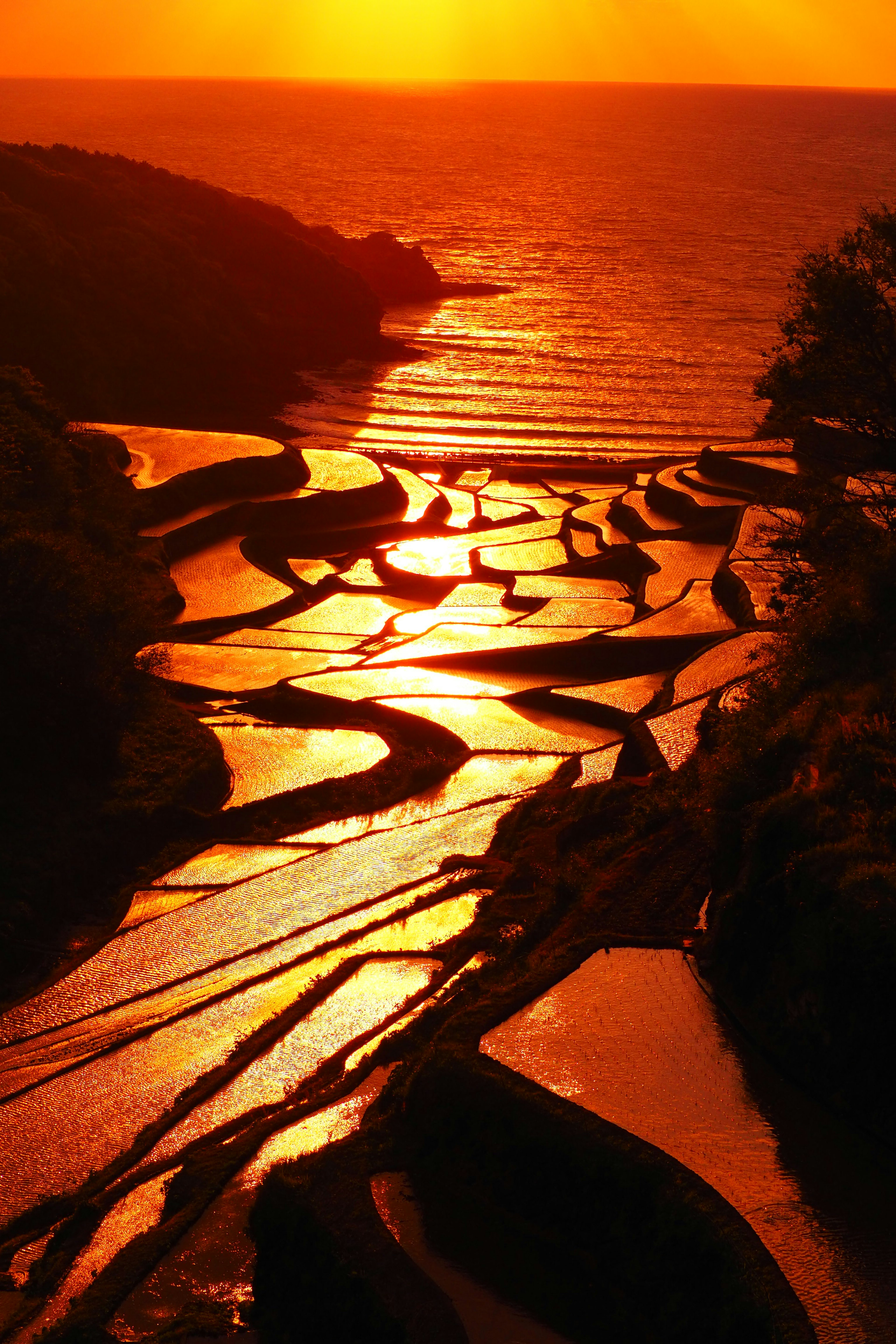 Malersiche Aussicht auf Terassenreisfelder, die den Sonnenuntergang über dem Ozean reflektieren