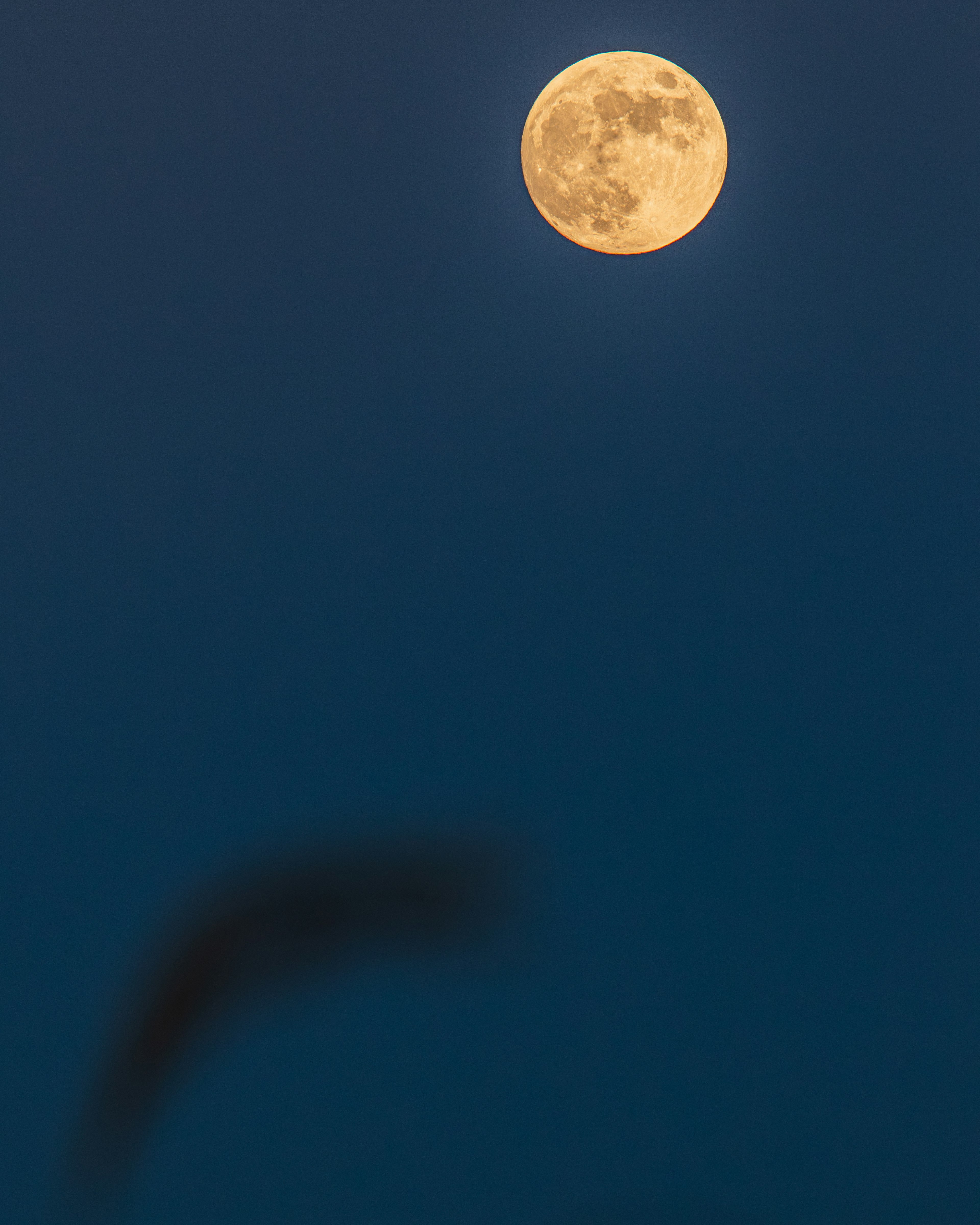 Pleine lune dans un ciel bleu avec une ombre sombre