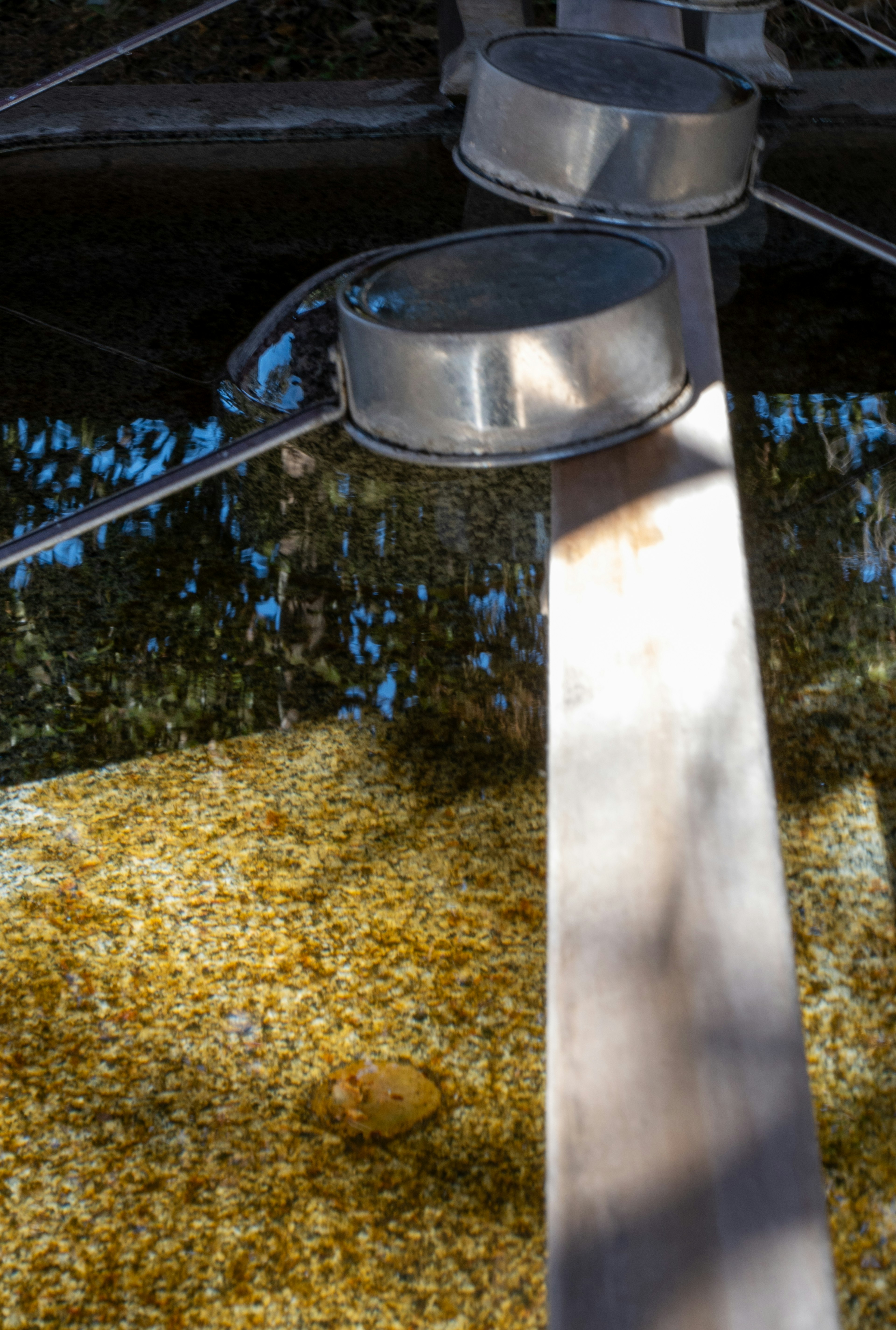 Contenedores plateados cruzándose con una tabla de madera sobre una superficie de agua reflectante