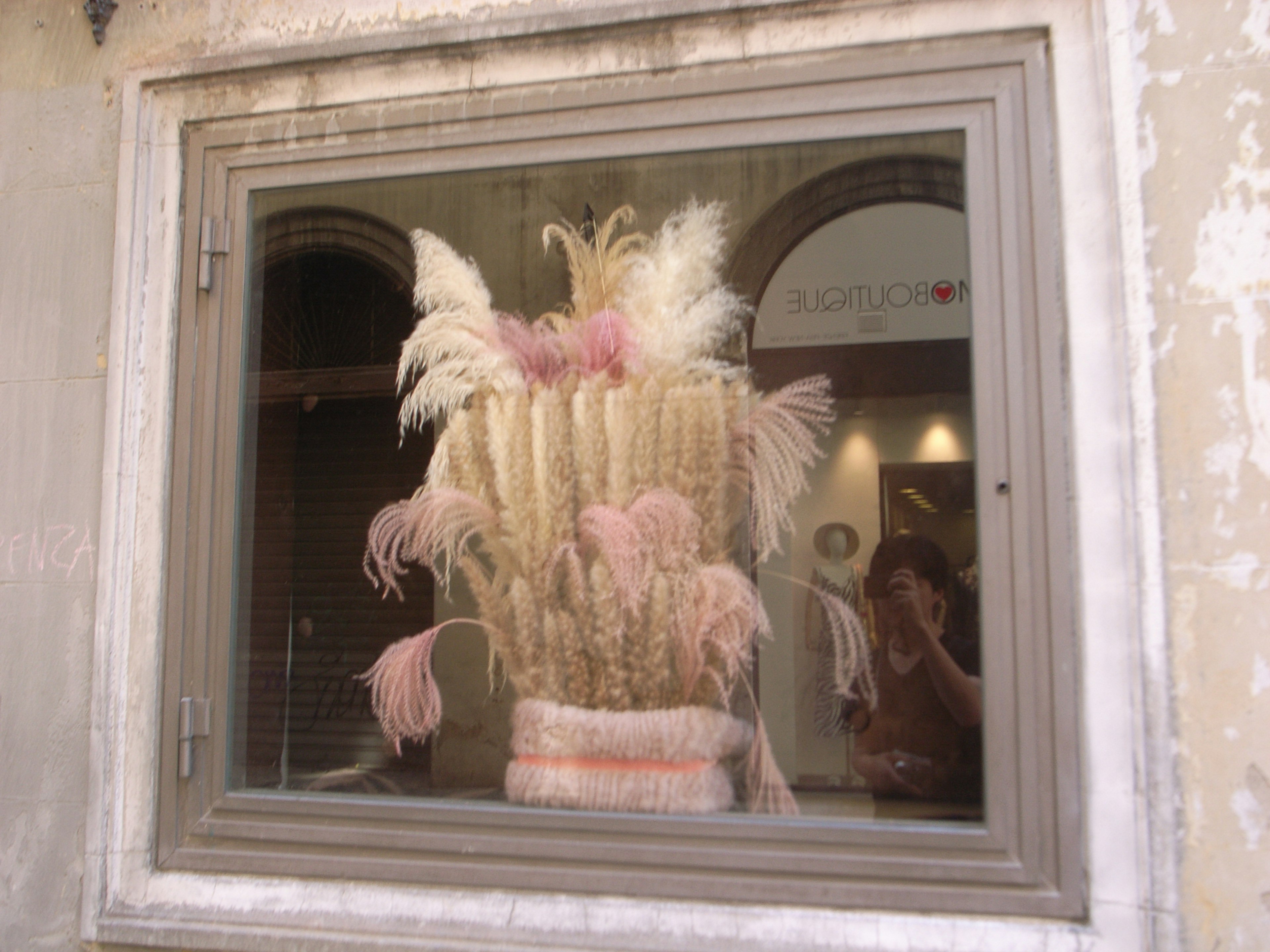 Decorative pampas grass arrangement visible through a window