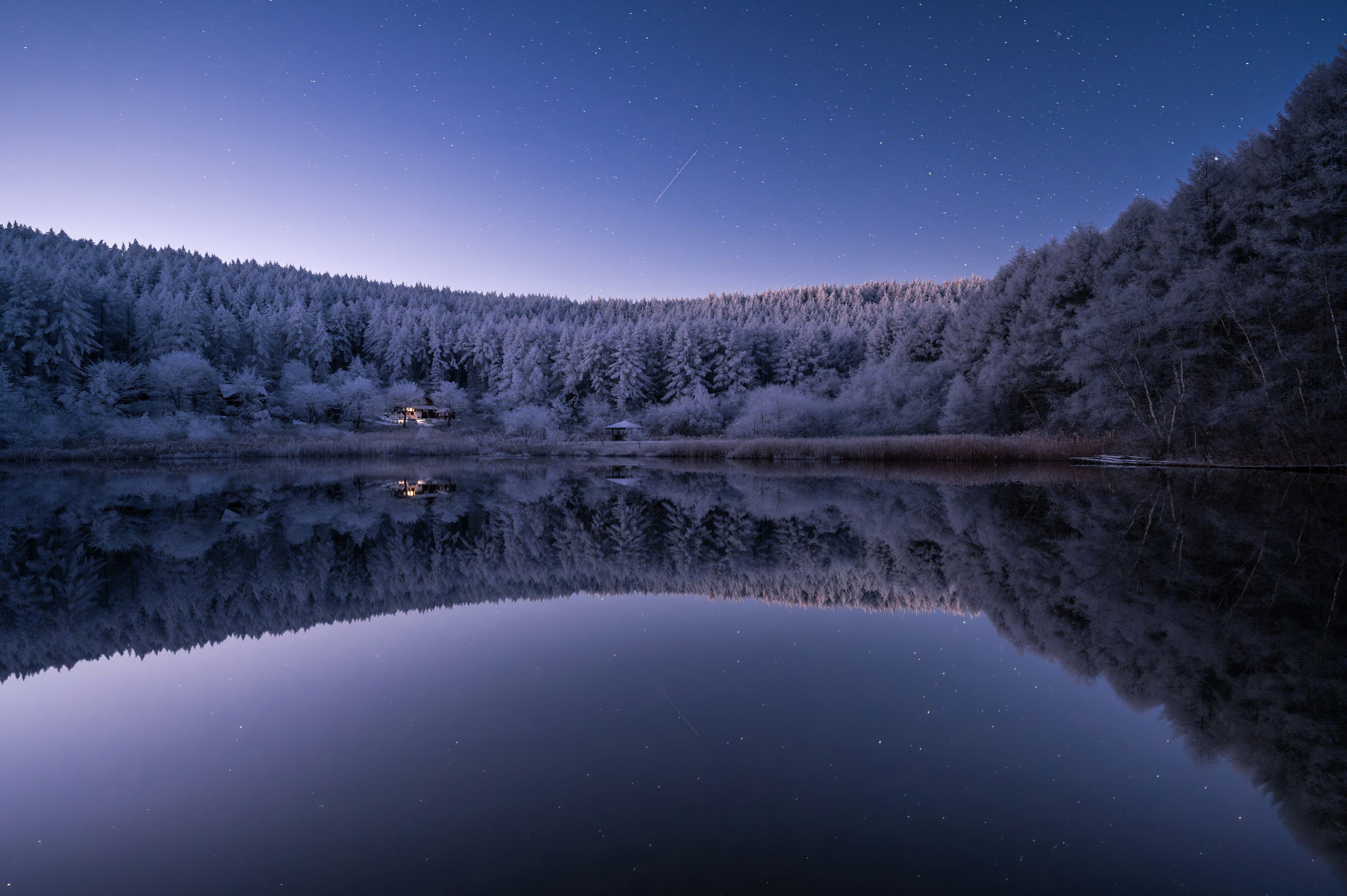 Frozen lake with snow-covered forest at night