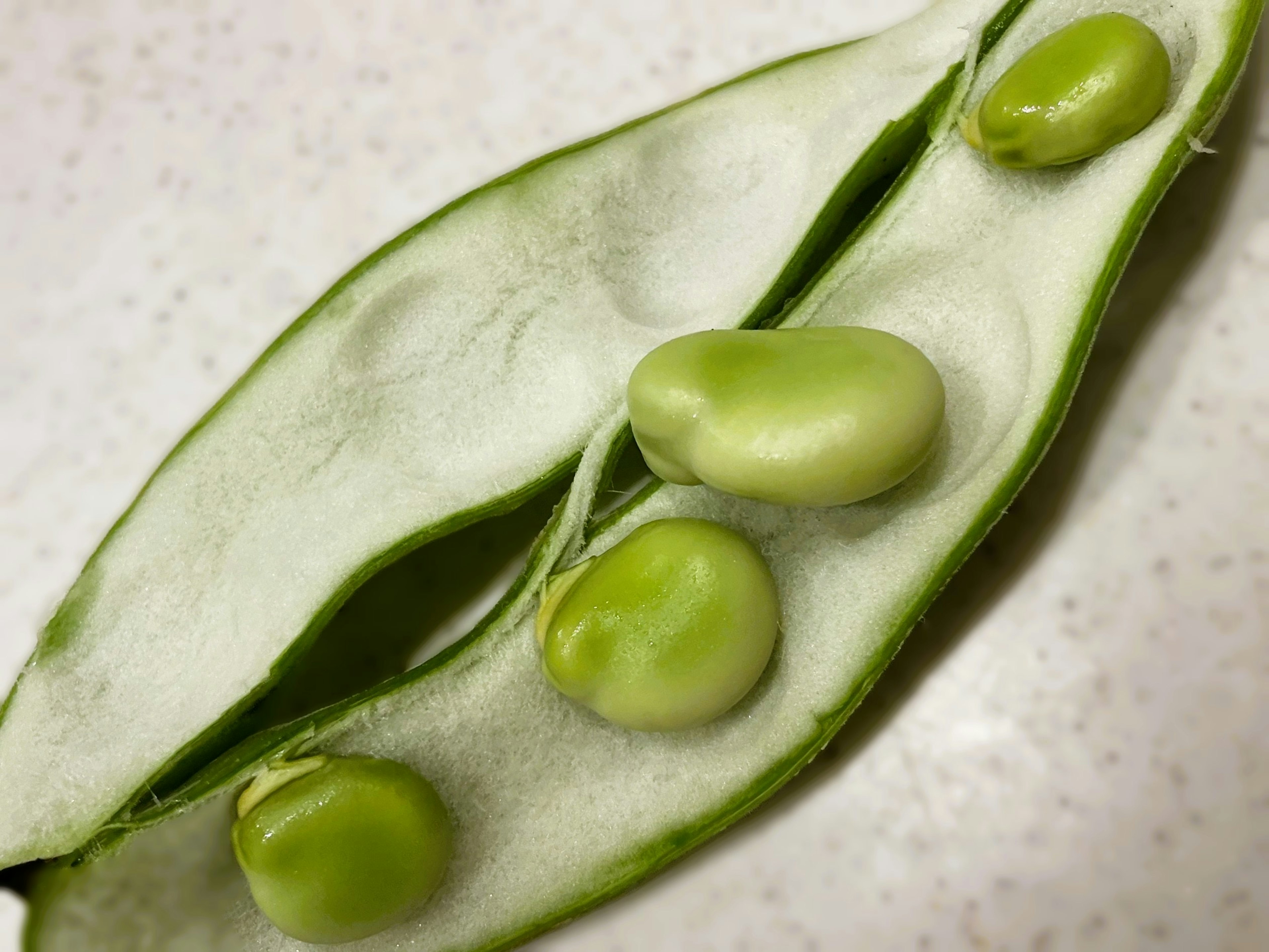 绿色豆荚内含豌豆的特写