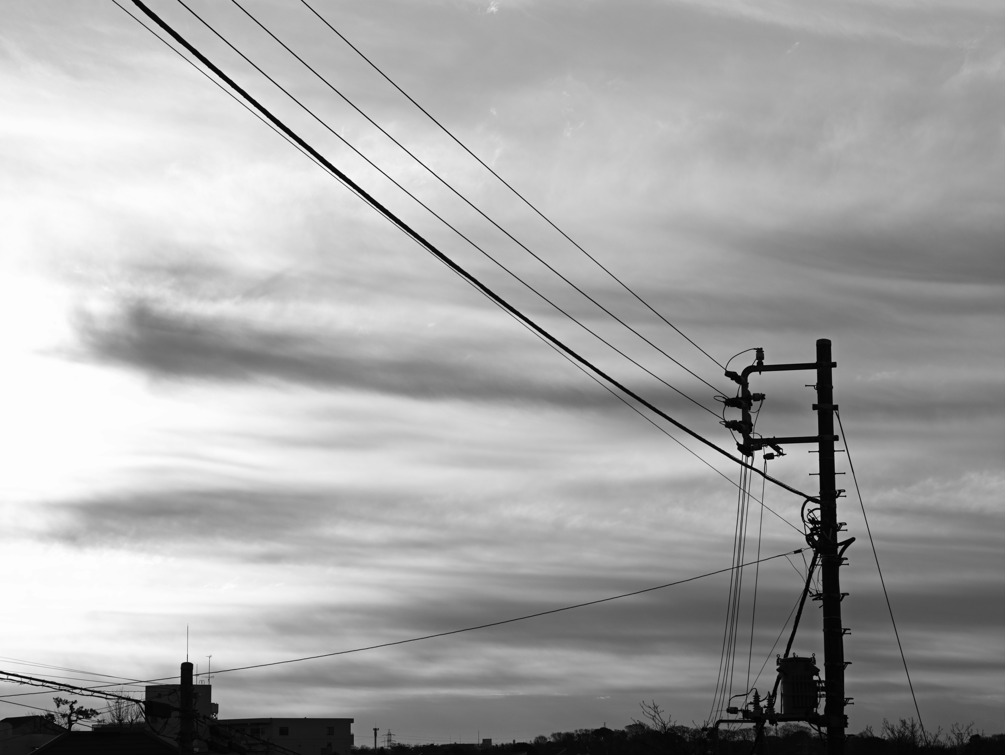 Black and white landscape featuring a power pole and power lines against the sky