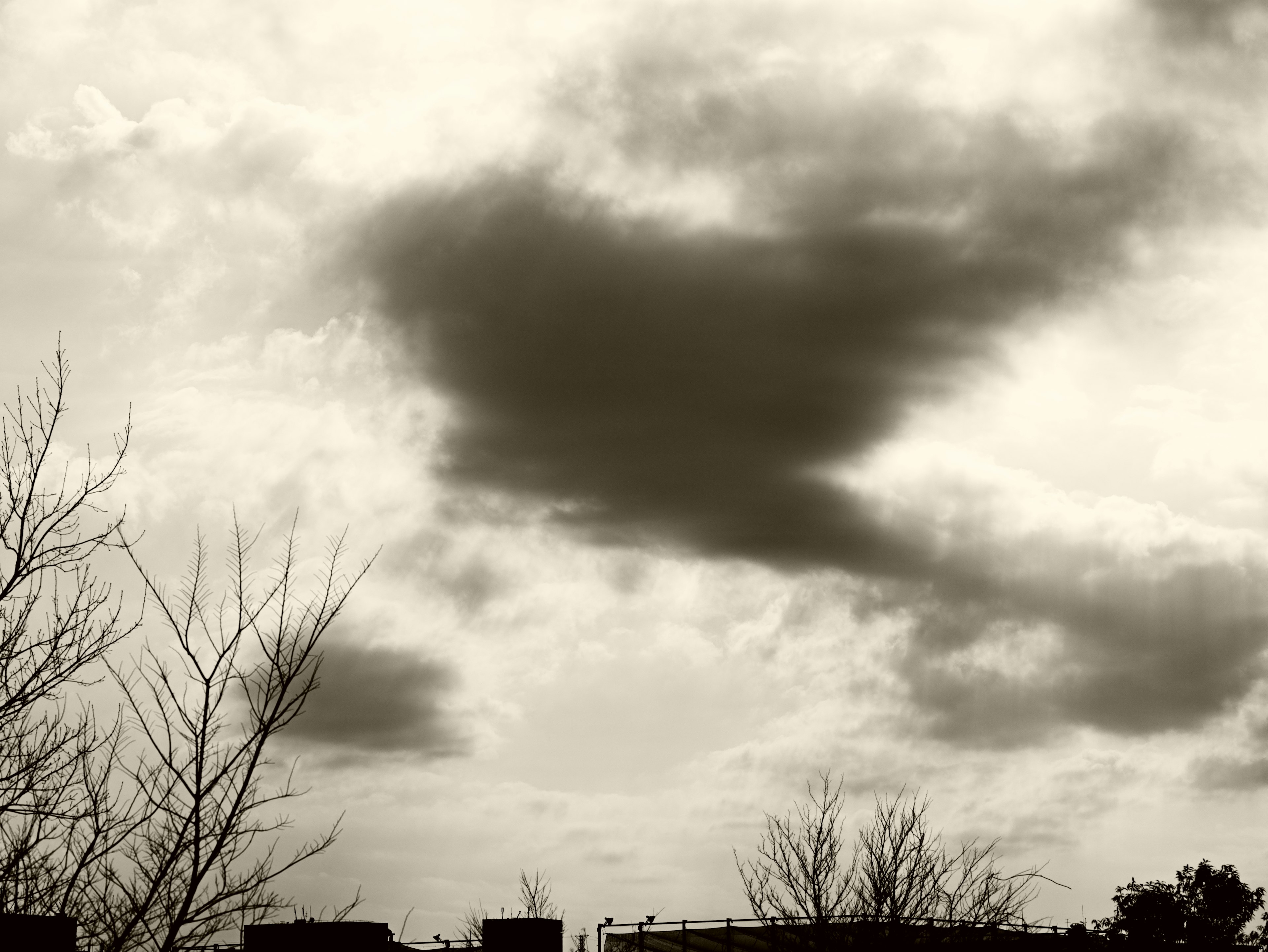 Black and white image of clouds in the sky with silhouettes of bare trees