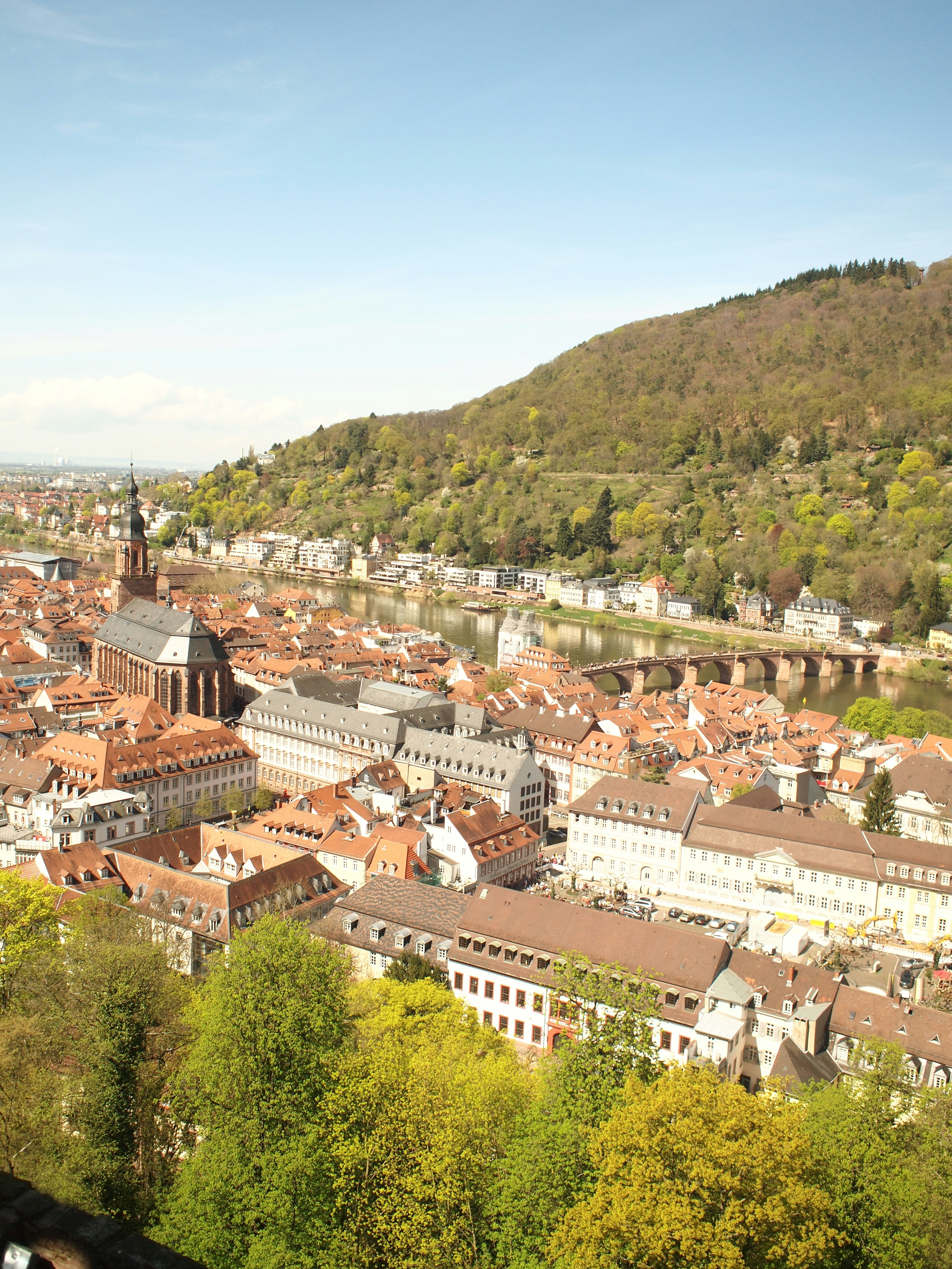 Cảnh nhìn từ trên cao của Heidelberg cho thấy cảnh quan thành phố quyến rũ và những ngọn đồi xanh tươi