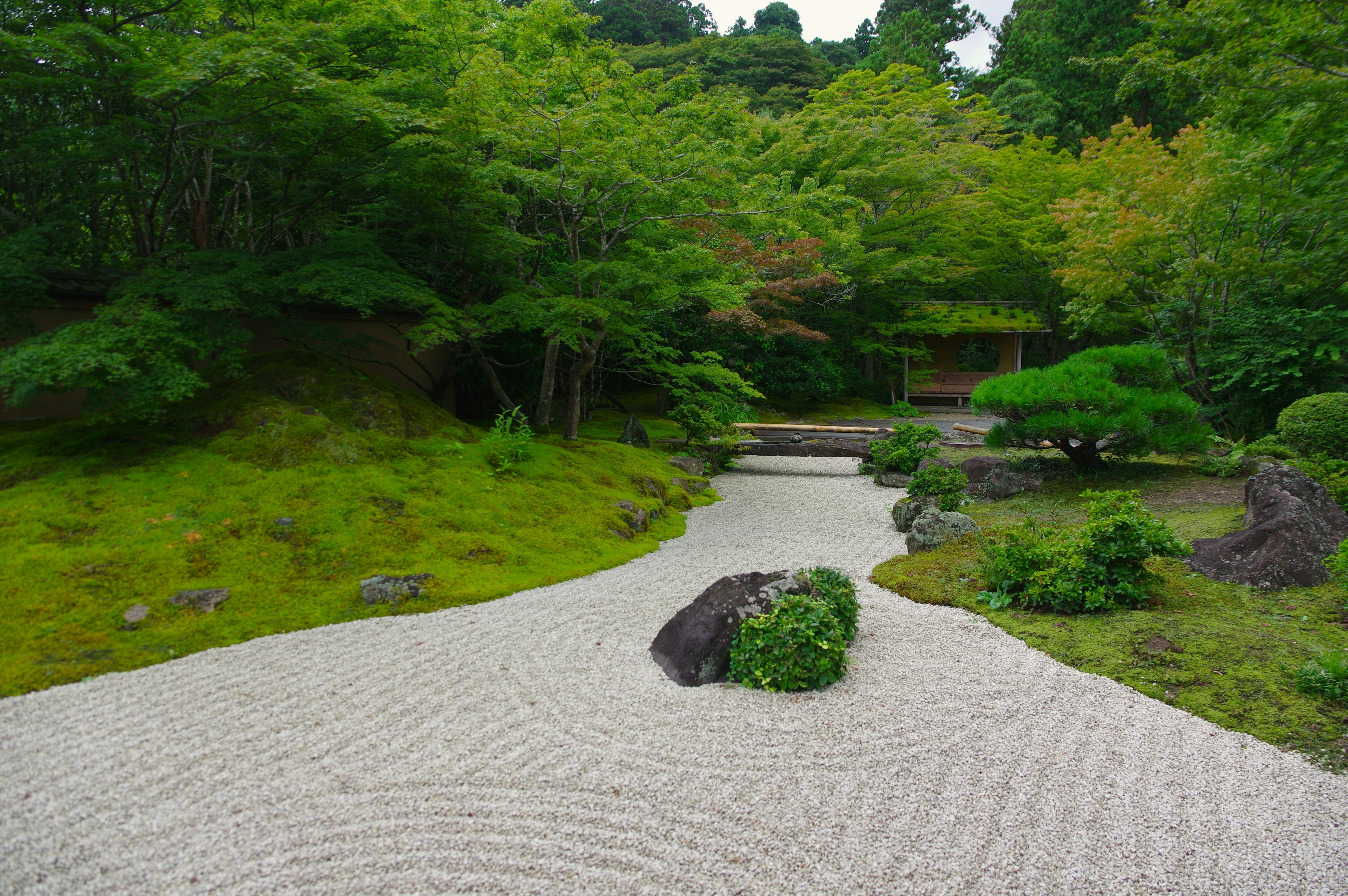 Pemandangan taman Jepang yang indah dengan kehijauan subur dan pola kerikil