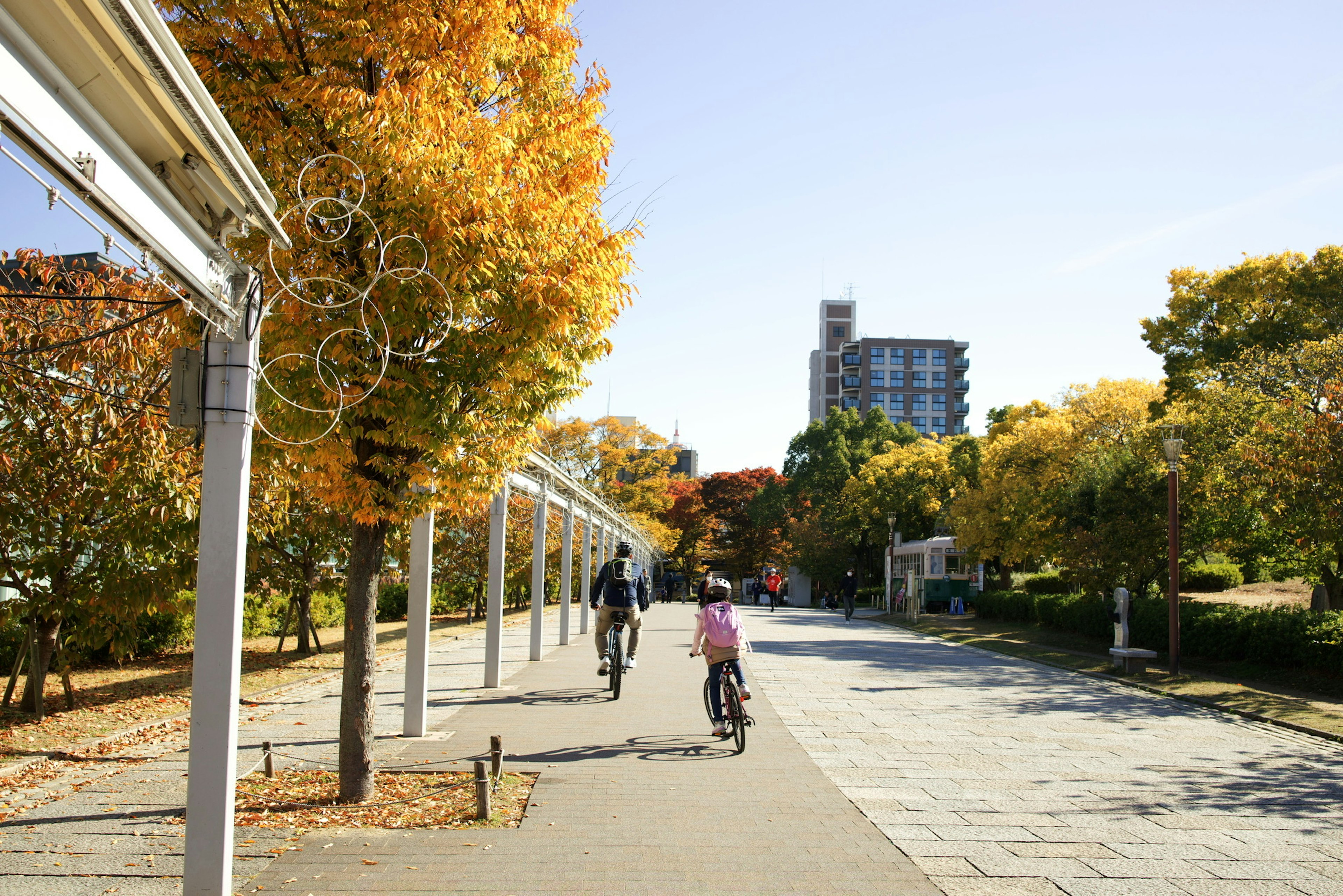 自転車に乗る人々と秋の木々が並ぶ公園の景色